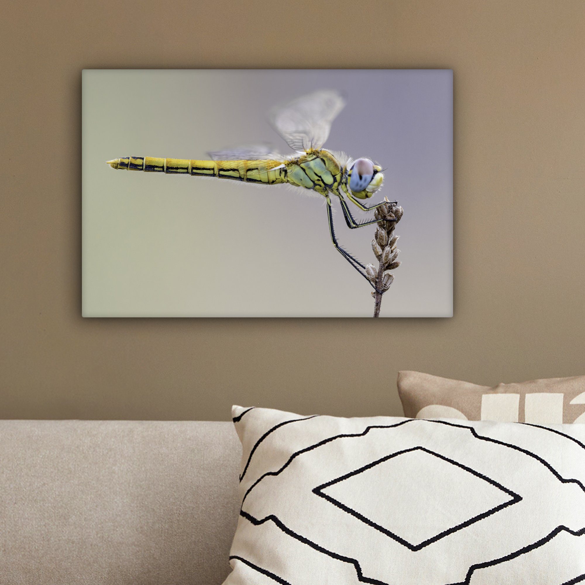 Aufhängefertig, Libelle, Leinwandbilder, cm (1 OneMillionCanvasses® einer Wandbild 30x20 Wanddeko, St), Nahaufnahme Leinwandbild