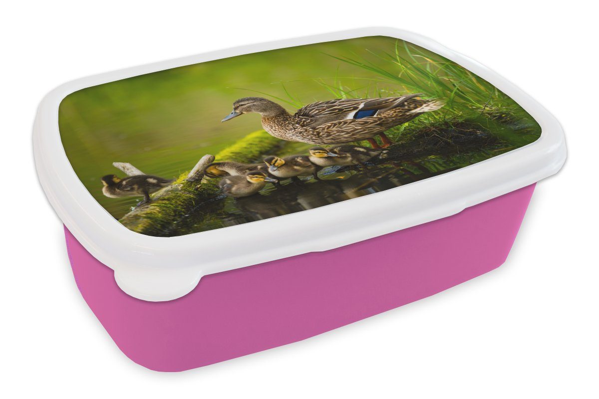 MuchoWow Lunchbox Ente - Vögel - Wasser - Zweig - Moos, Kunststoff, (2-tlg), Brotbox für Erwachsene, Brotdose Kinder, Snackbox, Mädchen, Kunststoff rosa