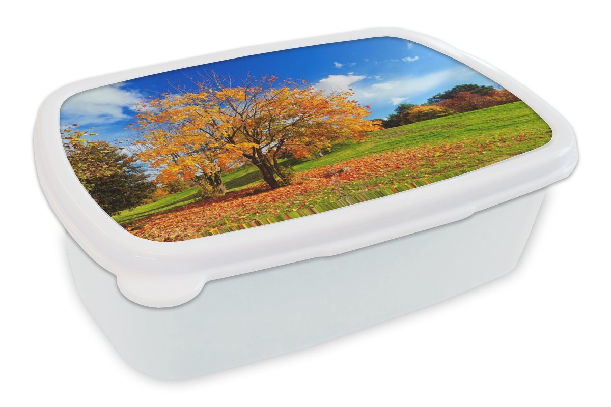 MuchoWow Lunchbox Baum - Blätter - Herbst - Jahreszeiten, Kunststoff, (2-tlg), Brotbox für Kinder und Erwachsene, Brotdose, für Jungs und Mädchen weiß