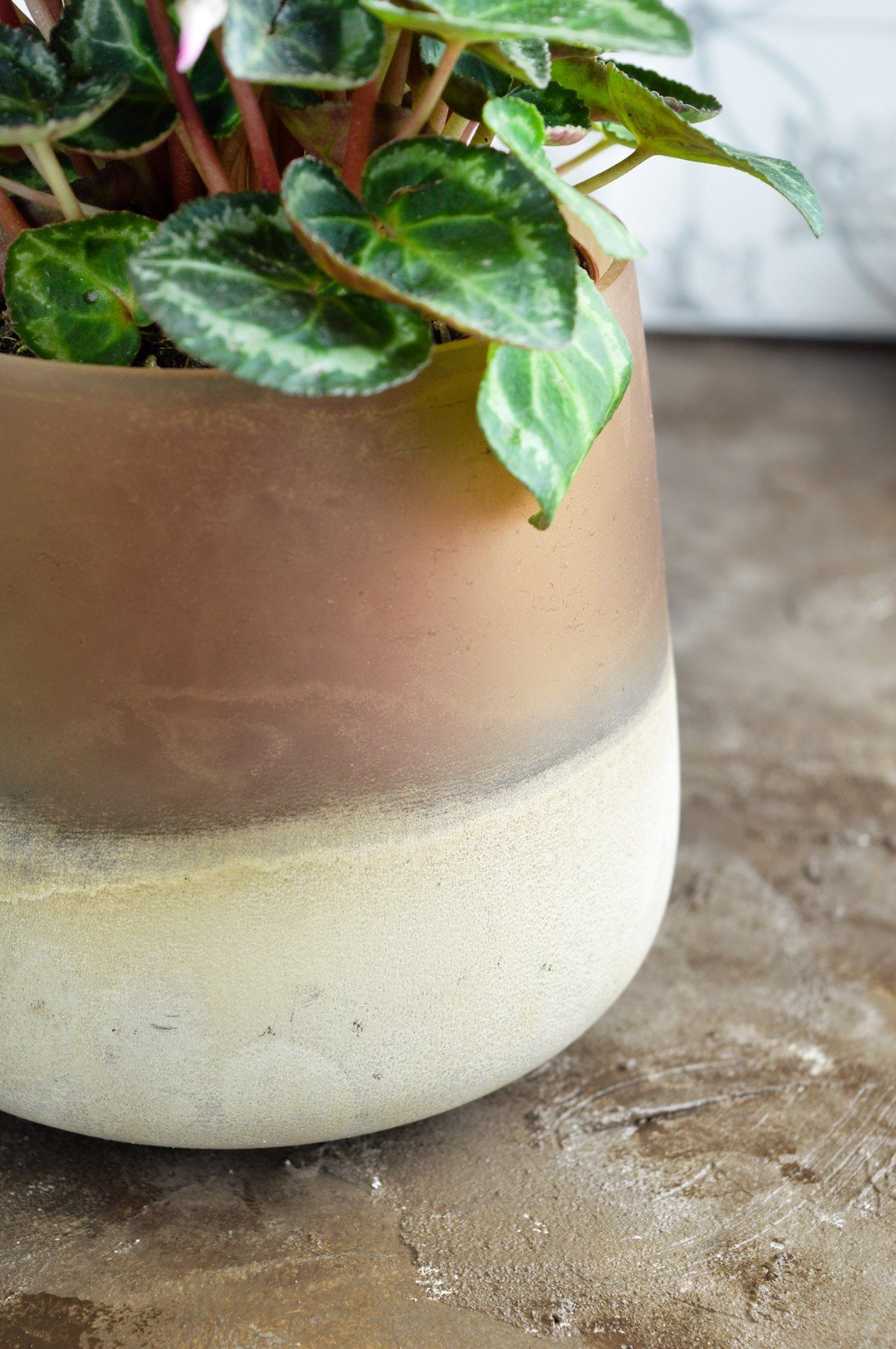 Sendez Blumentopf Blumenvase Barbara Tischvase Glasvase Dekovase Vase Pflan günstig online kaufen