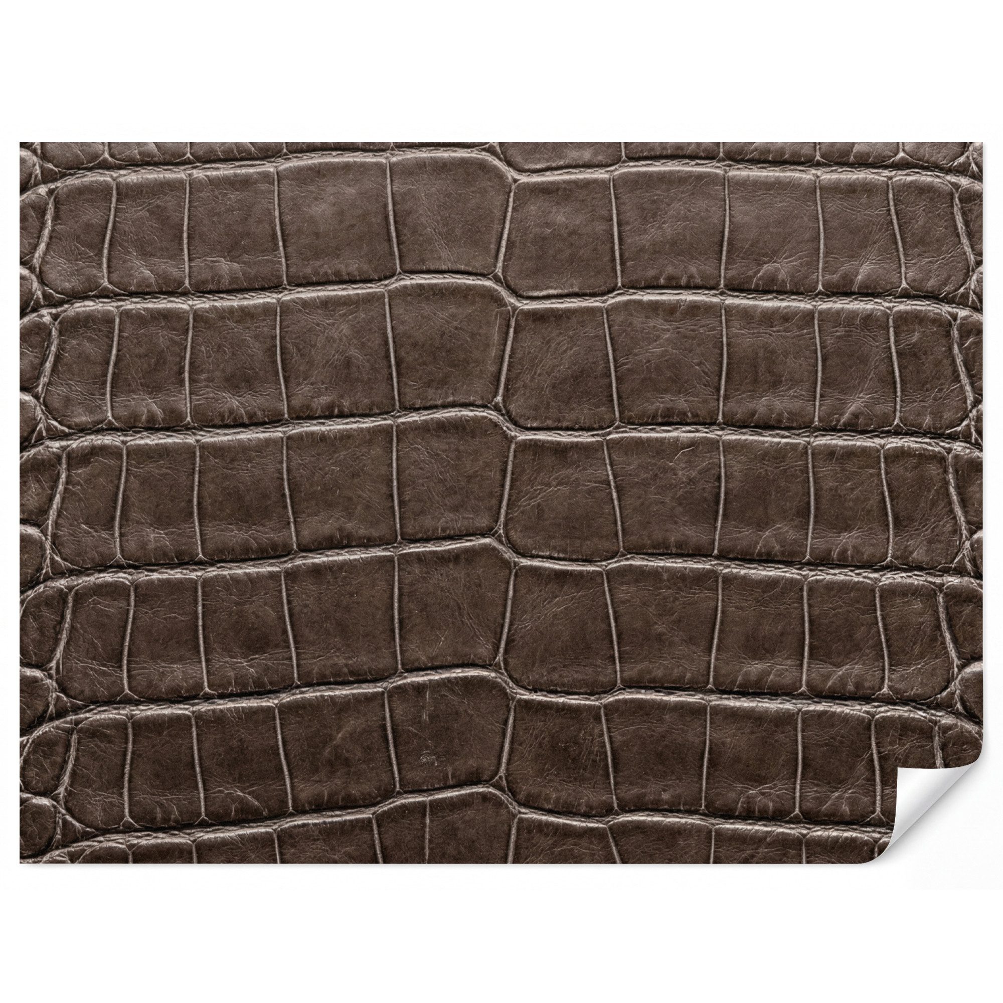 OnlyWow Fototapete Leder - Krokodil - Matt, Matt, bedruckt, Wandtapete, Schlafzimmer, Wanddekoration 300x220cm