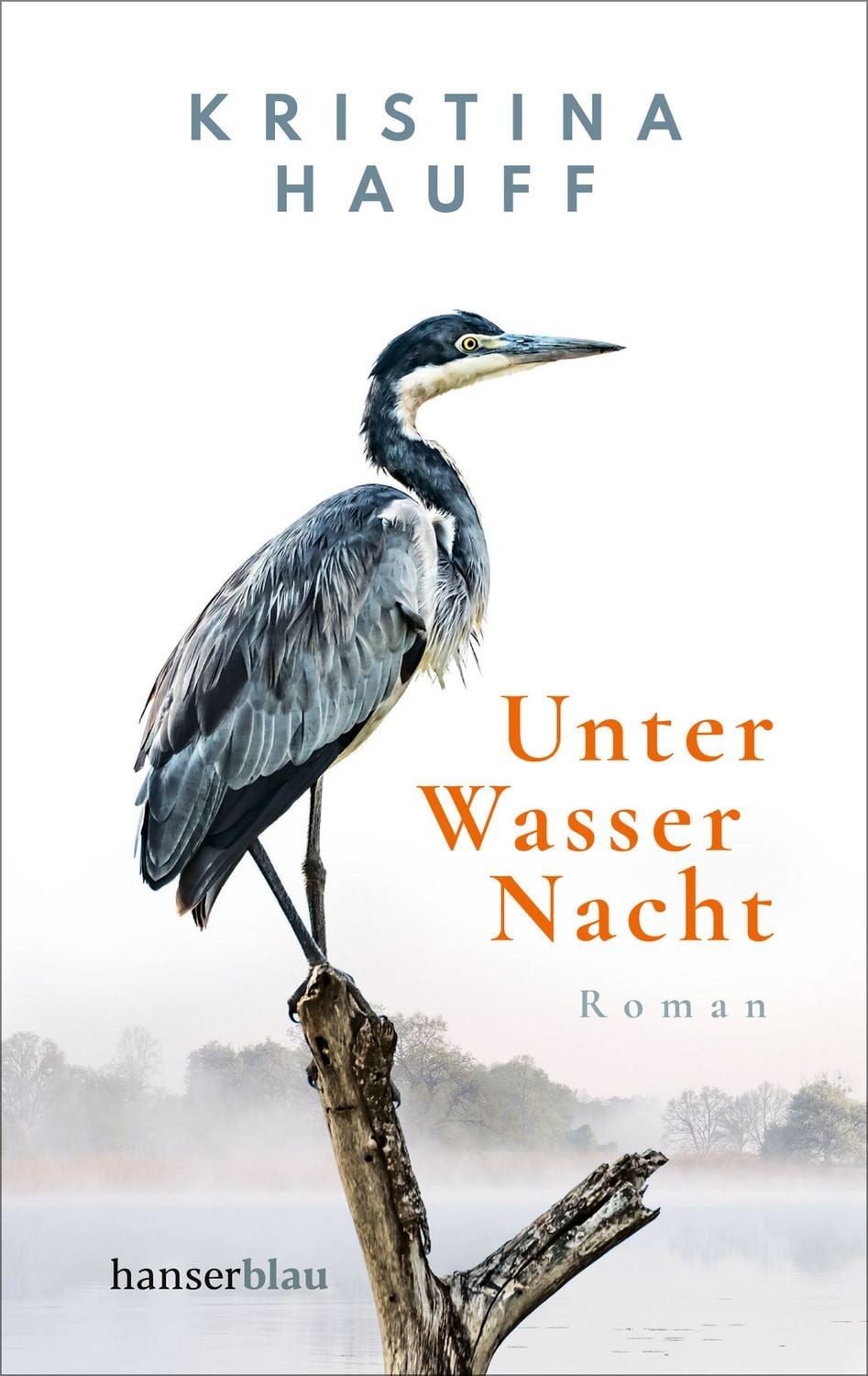 Unter Wasser Nacht / Kristina Hauff