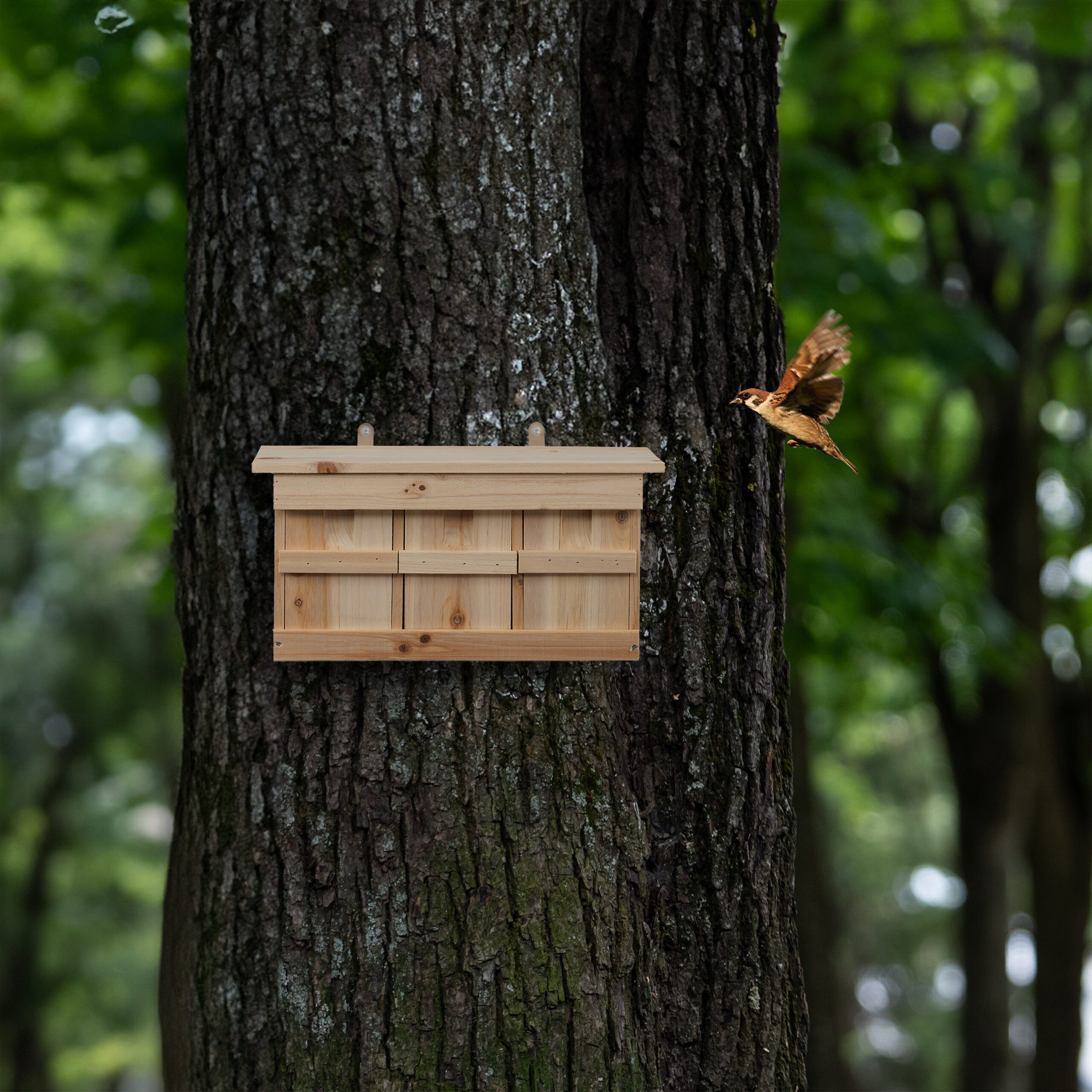 relaxdays Vogelhaus Nistkasten für Spatzen, natur