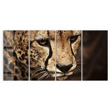 DEQORI Glasbild 'Wunderschöner Gepard', 'Wunderschöner Gepard', Glas Wandbild Bild schwebend modern
