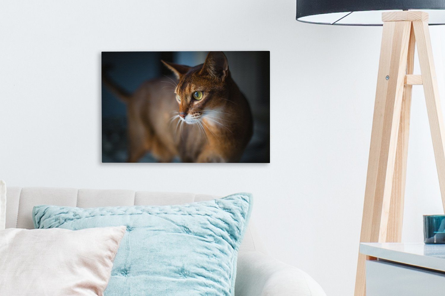 St), cm Katze Aufhängefertig, - OneMillionCanvasses® - 30x20 Leinwandbilder, (1 - Porträt, Wandbild Leinwandbild Abessinier Wanddeko, Haustiere