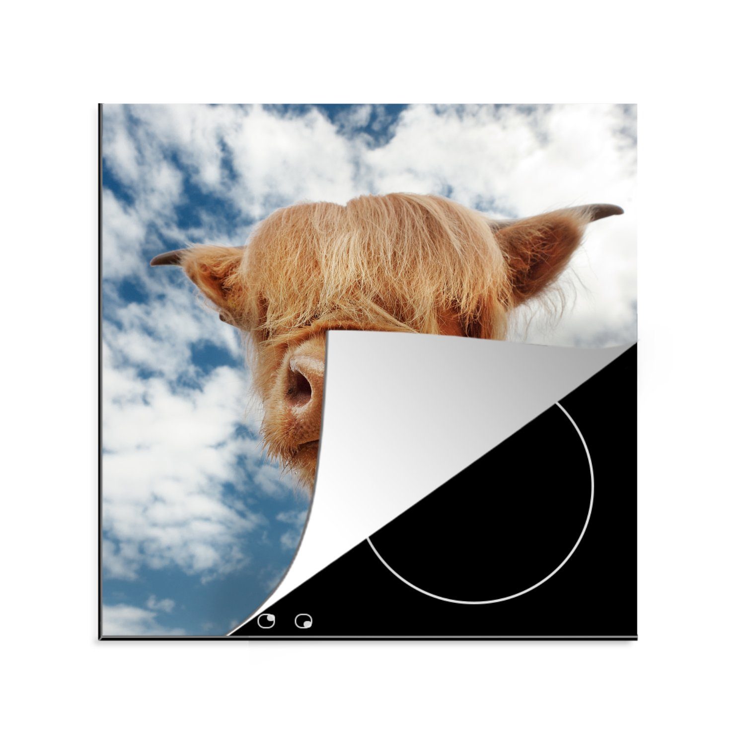 MuchoWow Herdblende-/Abdeckplatte Schottischer Highlander - Wolken - Kalb, Vinyl, (1 tlg), 78x78 cm, Ceranfeldabdeckung, Arbeitsplatte für küche