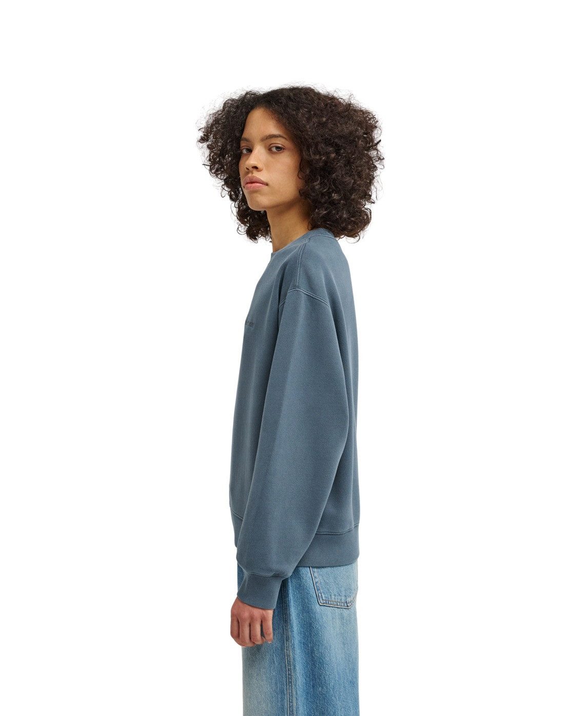 Element Sweatshirt Lowcase Pigment