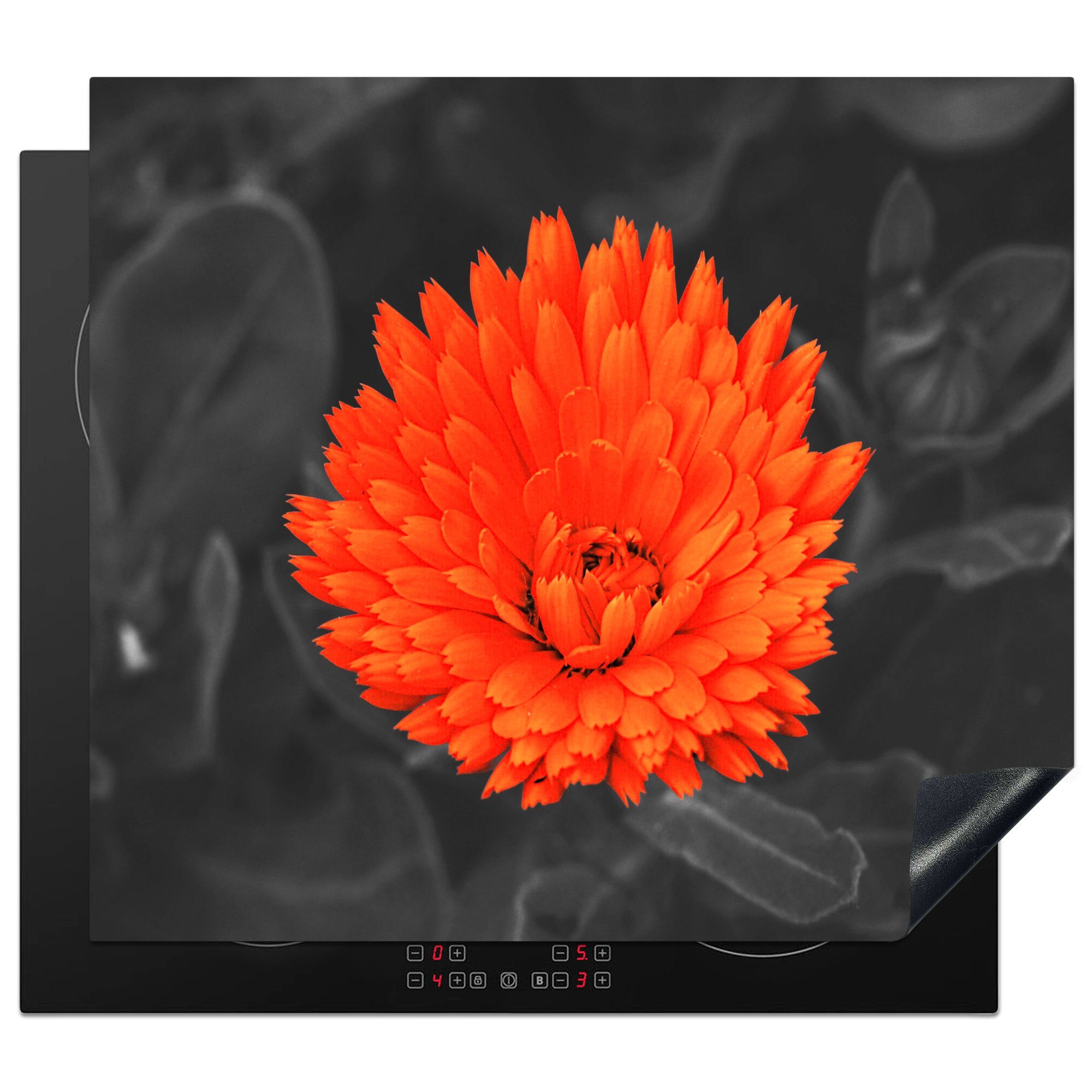 küche, für - cm, 59x52 MuchoWow (1 Weiß, Ceranfeldabdeckung Orange die - Herdblende-/Abdeckplatte tlg), Schwarz - Induktionsmatte Blumen Vinyl,