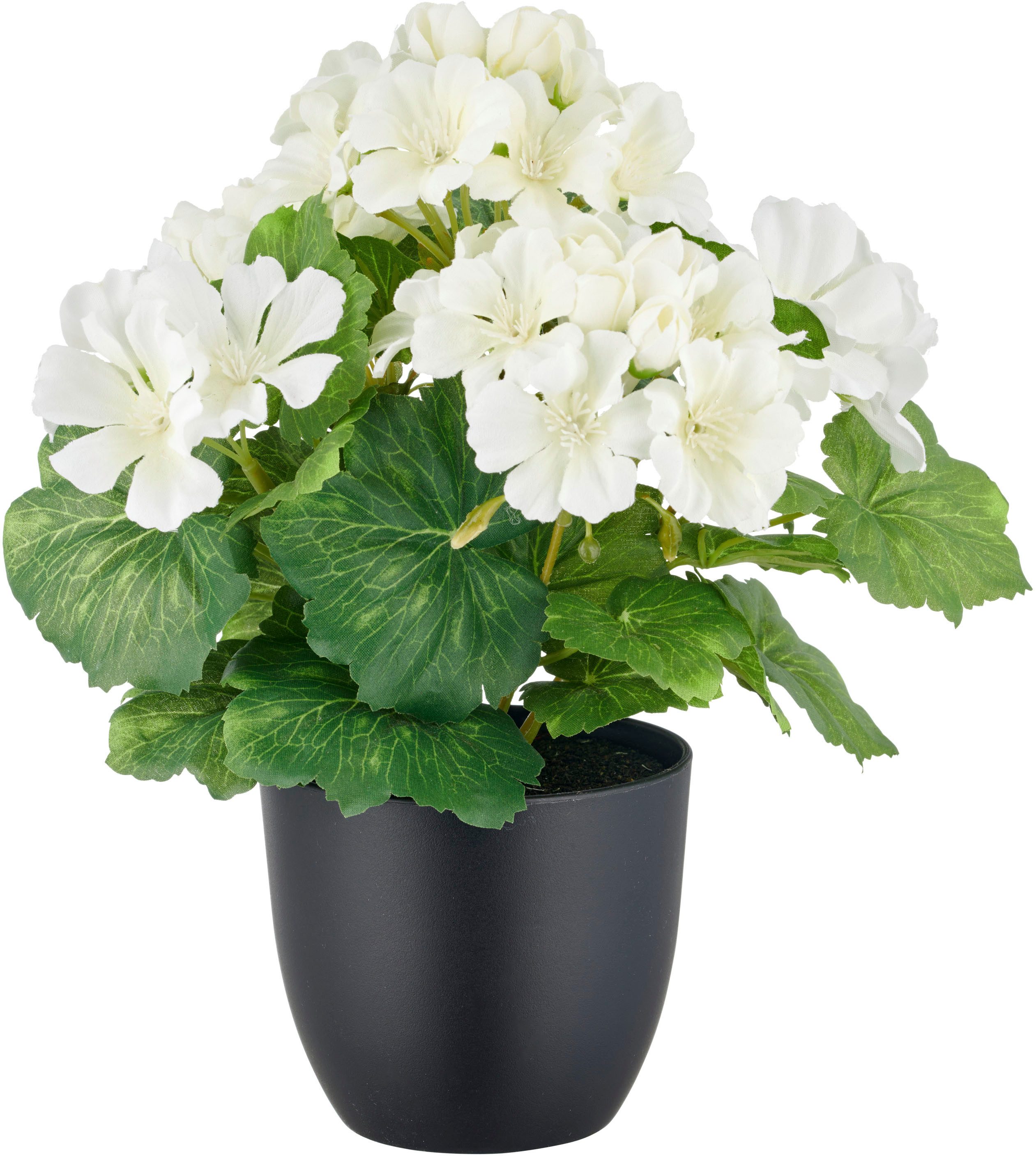 Kunstpflanze Geranie, Creativ green, Höhe 26 cm, in UV-beständiger Ausführu günstig online kaufen