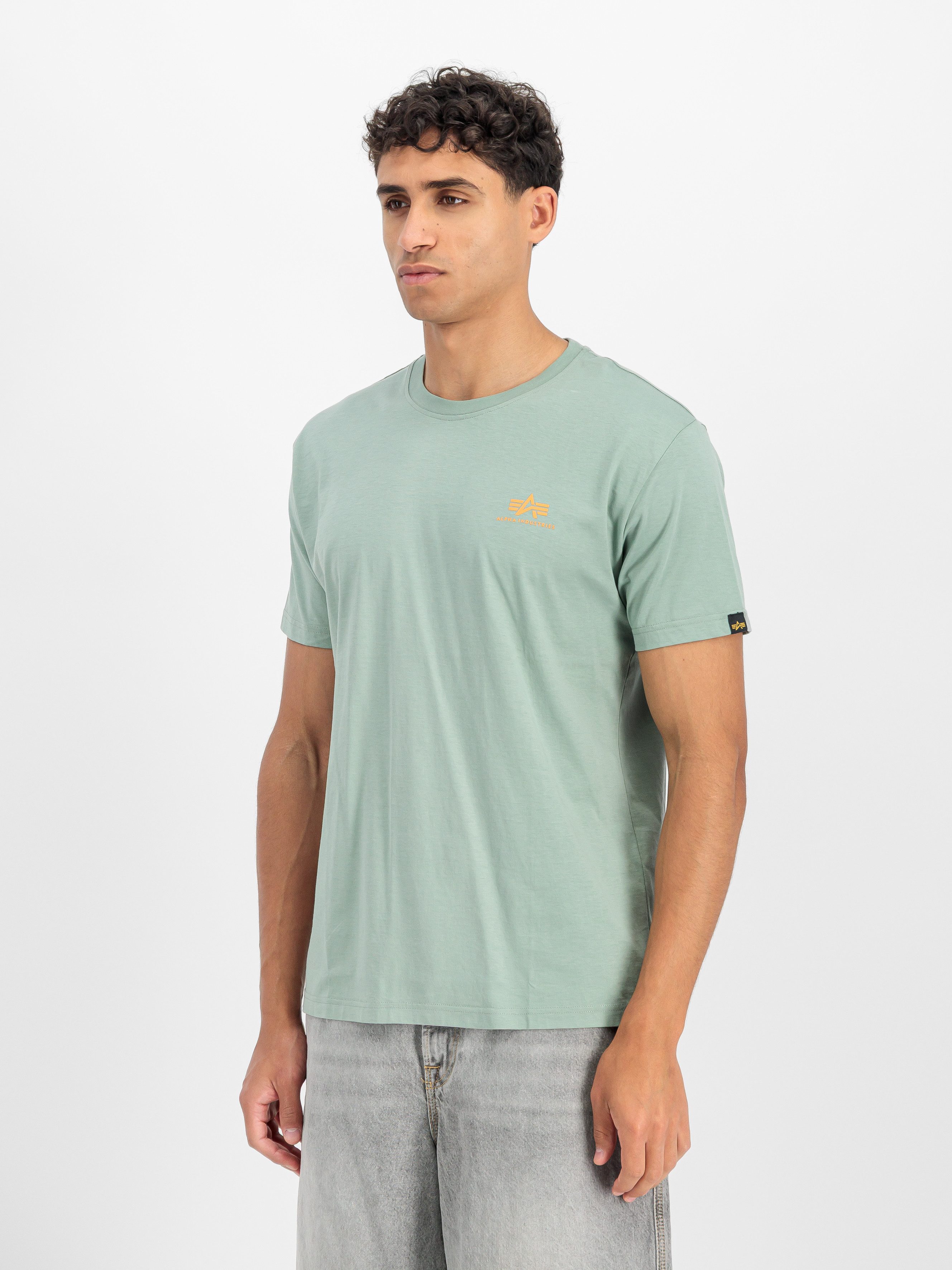 Alpha Industries Rundhalsshirt Backprint T günstig online kaufen