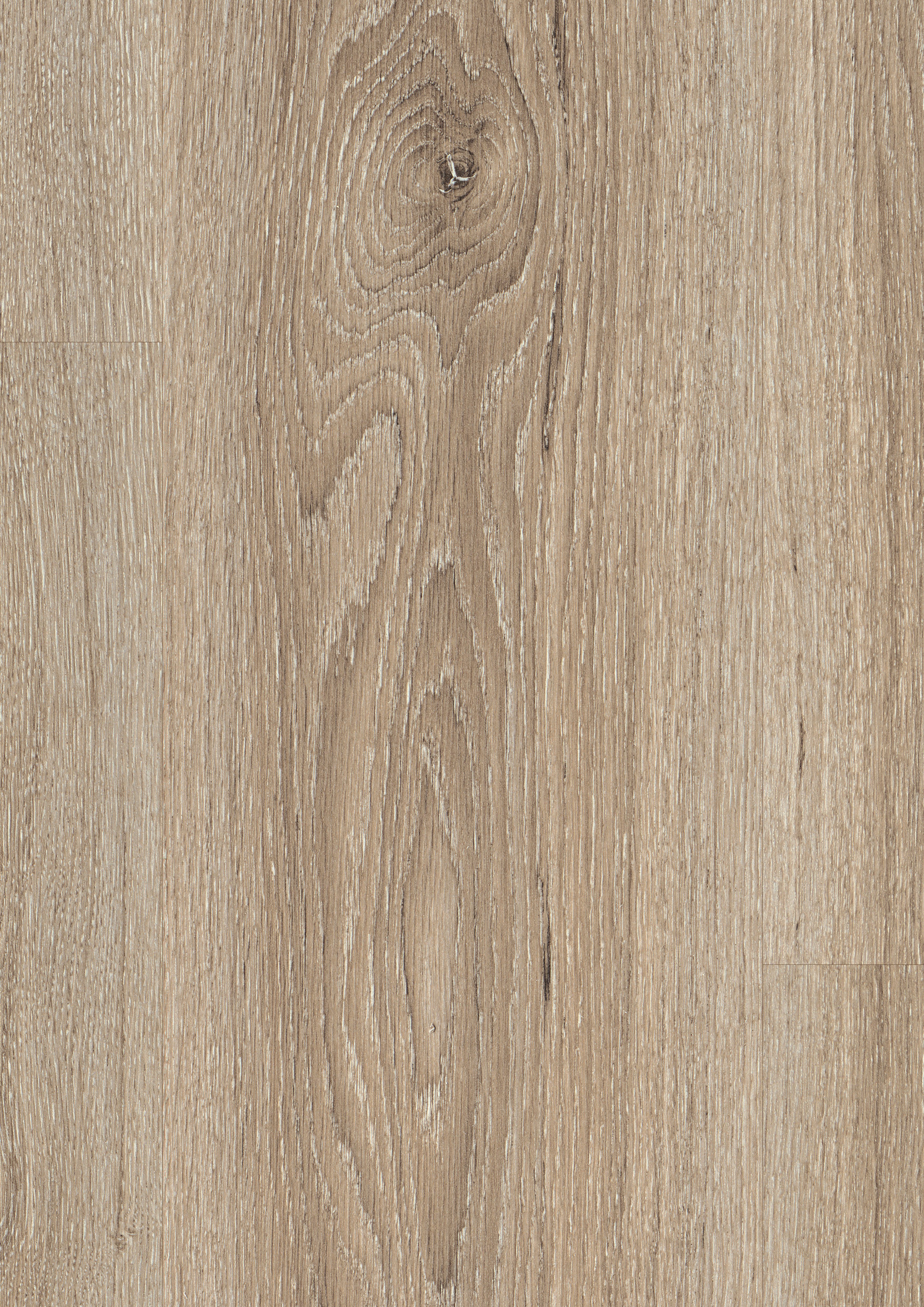 EGGER Laminat NatureSense EL2730 Eiche Amiens hell, (8mm, 1,995qm), Praktisch & Pflegeleicht