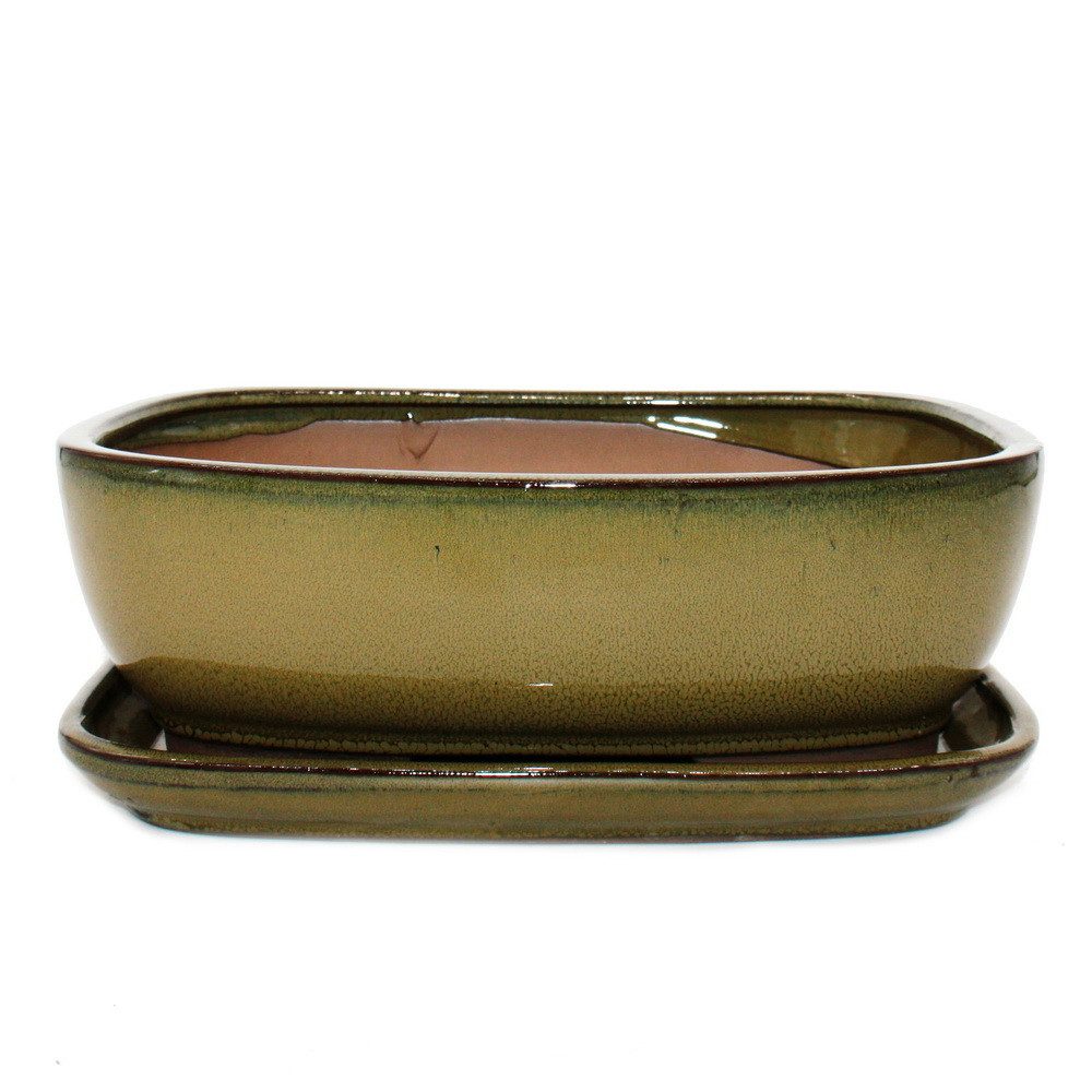 Exotenherz Pflanzschale Bonsai-Schale Unterteller Gr.5 Oliv-Braun rechteckig Modell GB5 L 31cm