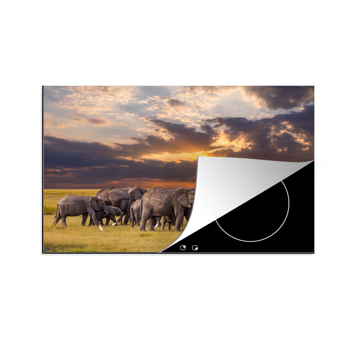 - Natur, küche, Schutz - Vinyl, Induktionskochfeld Sonnenuntergang 81x52 Herdblende-/Abdeckplatte Ceranfeldabdeckung - Gras MuchoWow für - (1 cm, Tiere tlg), die Elefant