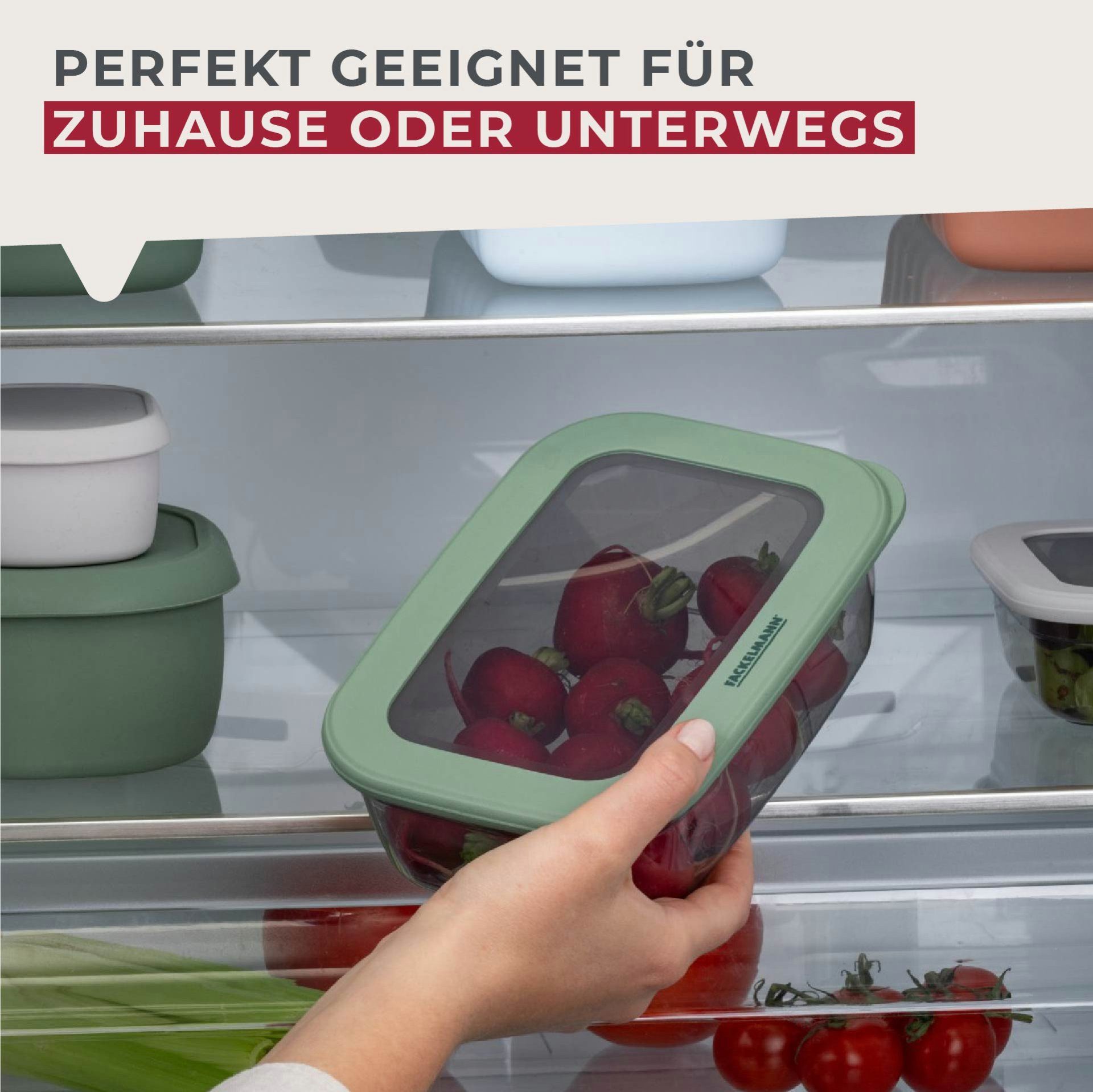 FACKELMANN Aufbewahrungsdose Vorratsbox, Snackbox, Aufbewahrungsbox, Lunchbox