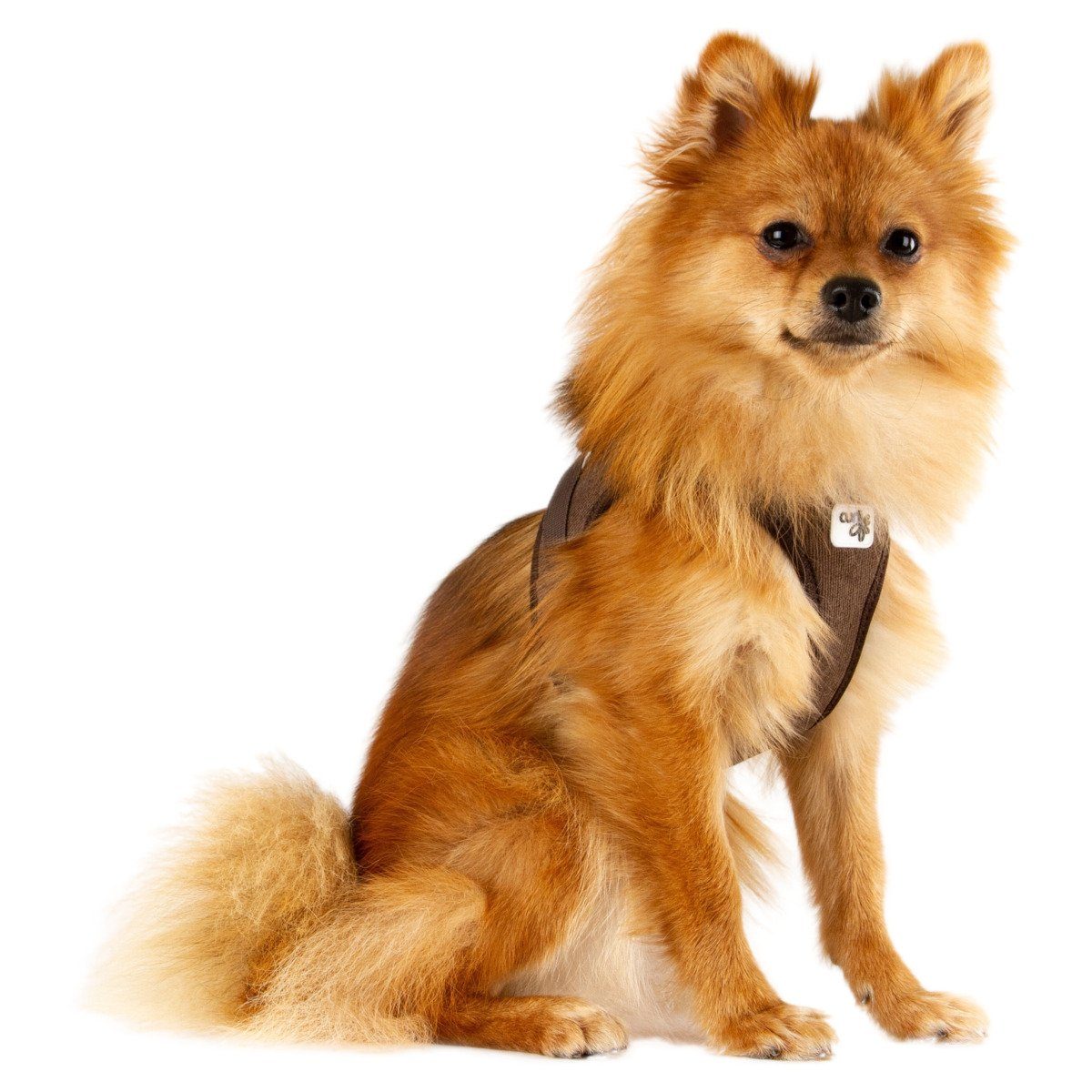 Curli Hunde-Geschirr Clasp Vest Geschirr Cord günstig online kaufen