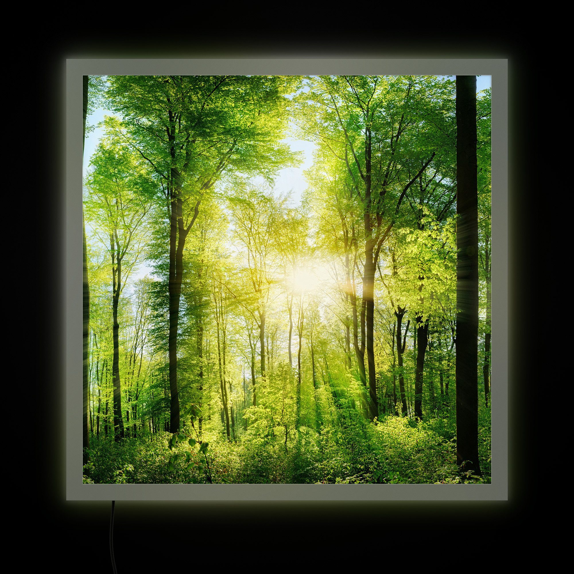 DEQORI LED-Bild 'Sonne durchbricht Wald', (1 St), LED Lampe Leuchte Leuchtb günstig online kaufen