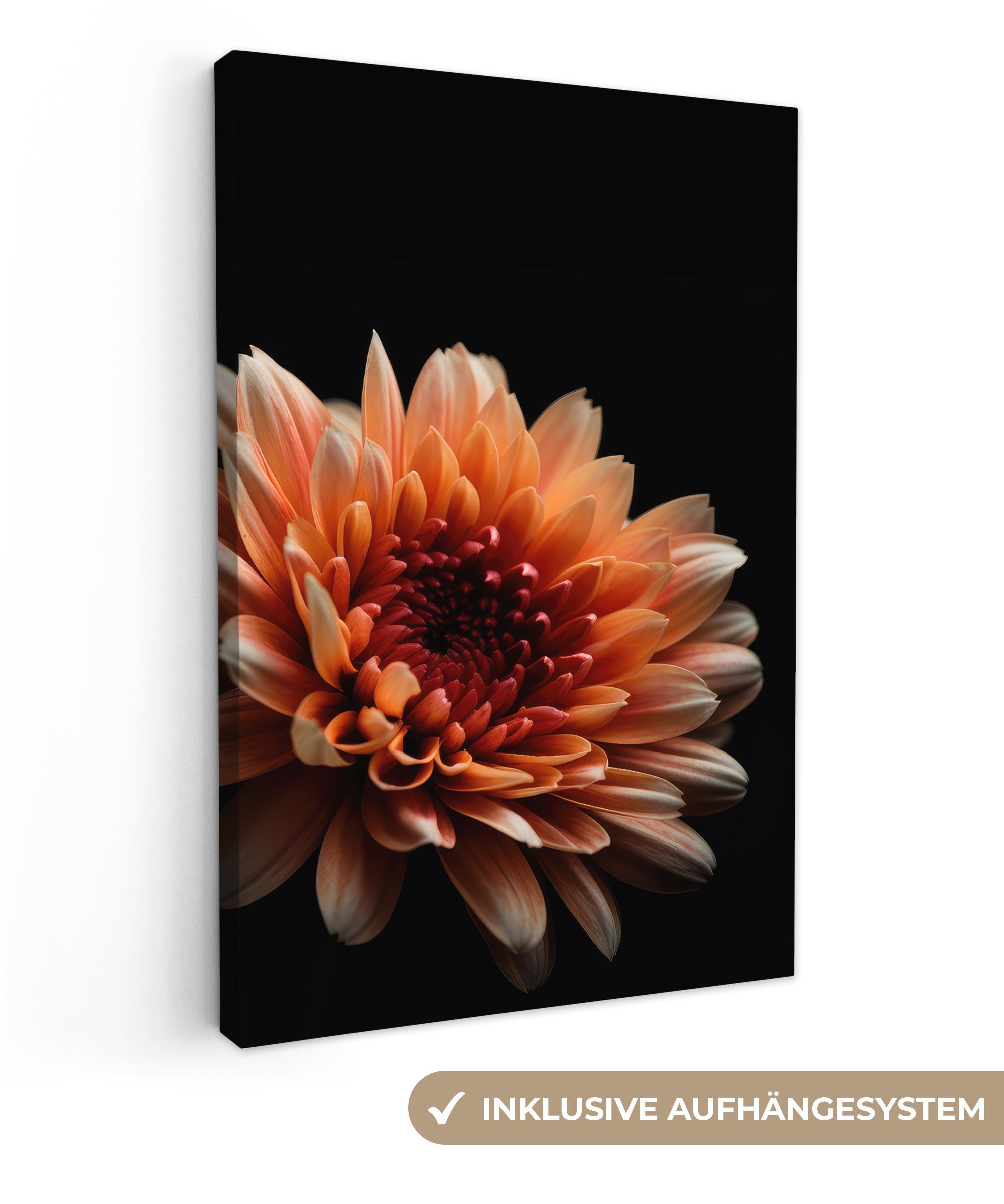 Leinwandbild Natur OneMillionCanvasses® bespannt Chrysantheme cm fertig Gemälde, - - St), inkl. - - 20x30 Blumen (1 Orange Leinwandbild Zackenaufhänger, Schwarz,