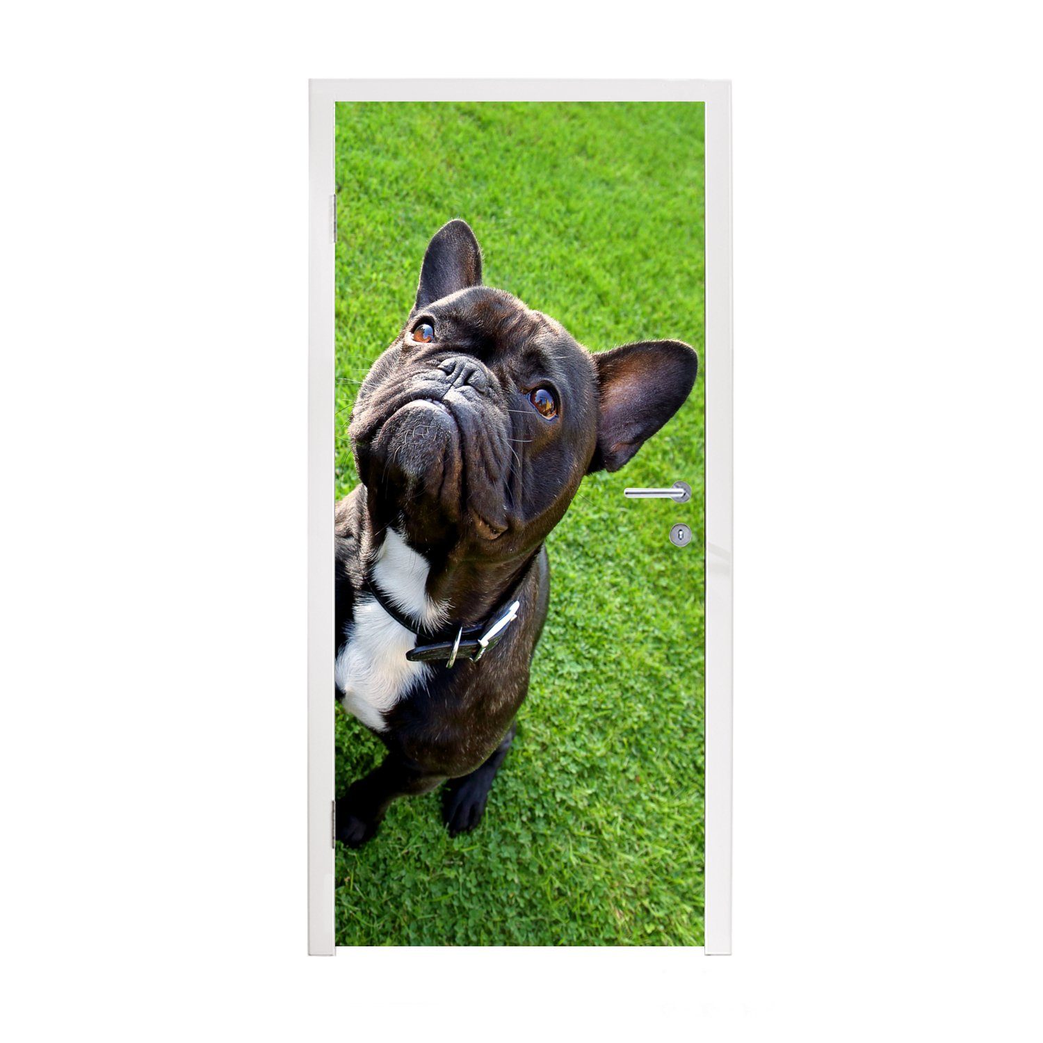 MuchoWow Türtapete Französische Bulldogge - Gras - Halsband, Matt, bedruckt, (1 St), Fototapete für Tür, Türaufkleber, 75x205 cm