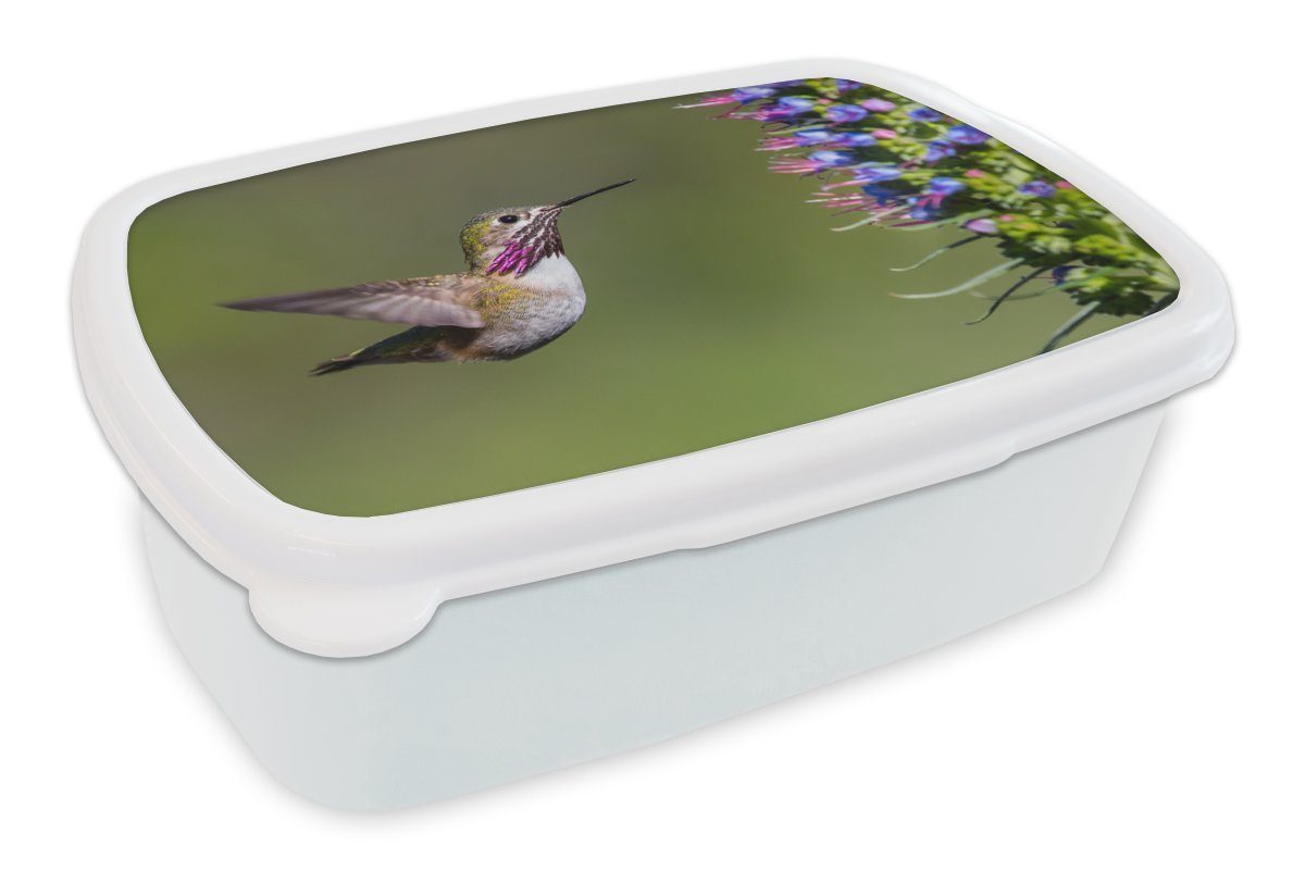 MuchoWow Lunchbox Kolibri - Pflanze - Vogel, Kunststoff, (2-tlg), Brotbox für Kinder und Erwachsene, Brotdose, für Jungs und Mädchen weiß