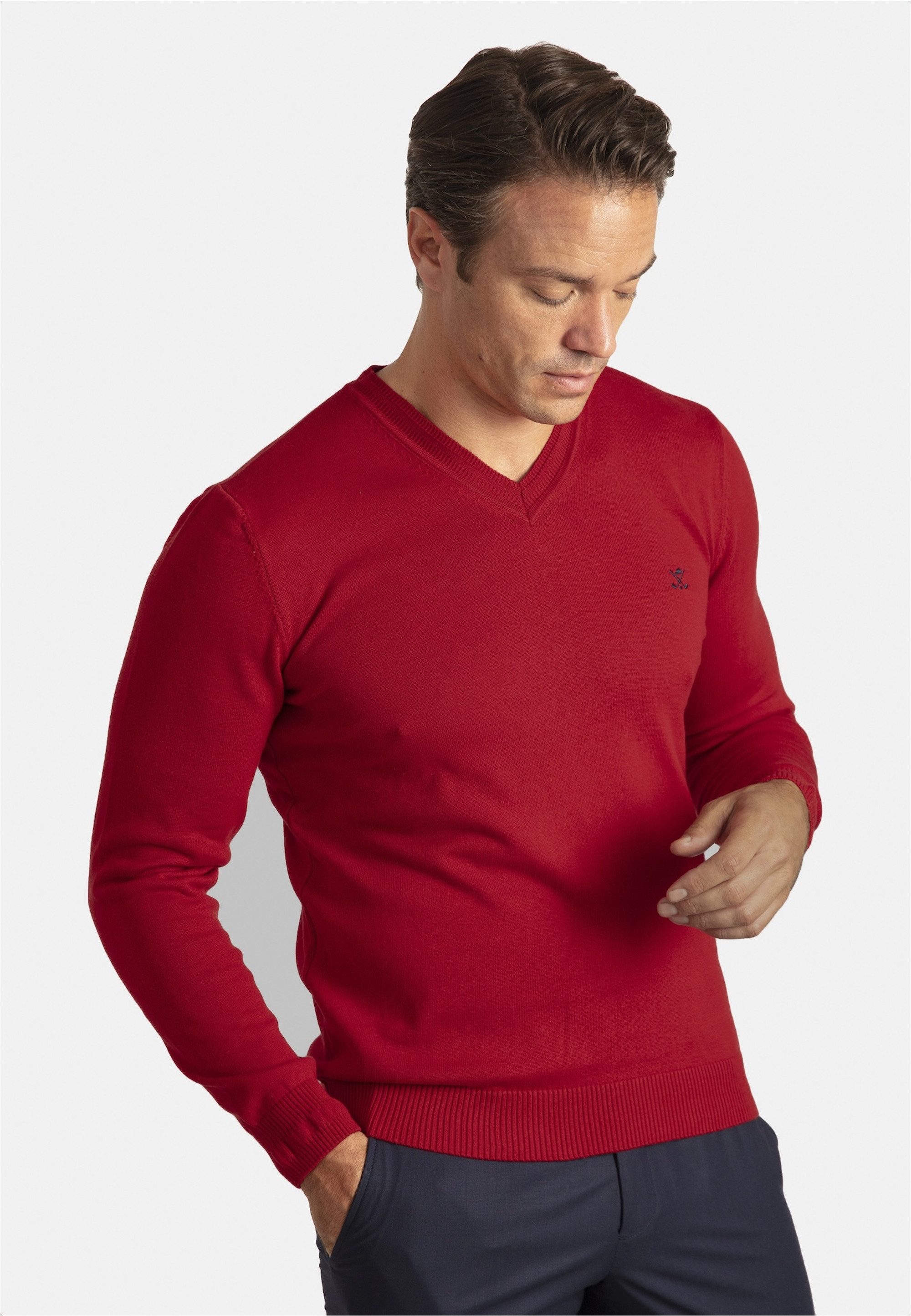 SIR RAYMOND TAILOR Strickpullover Los Angeles (1-tlg) mit klassischem V-Ausschnitt