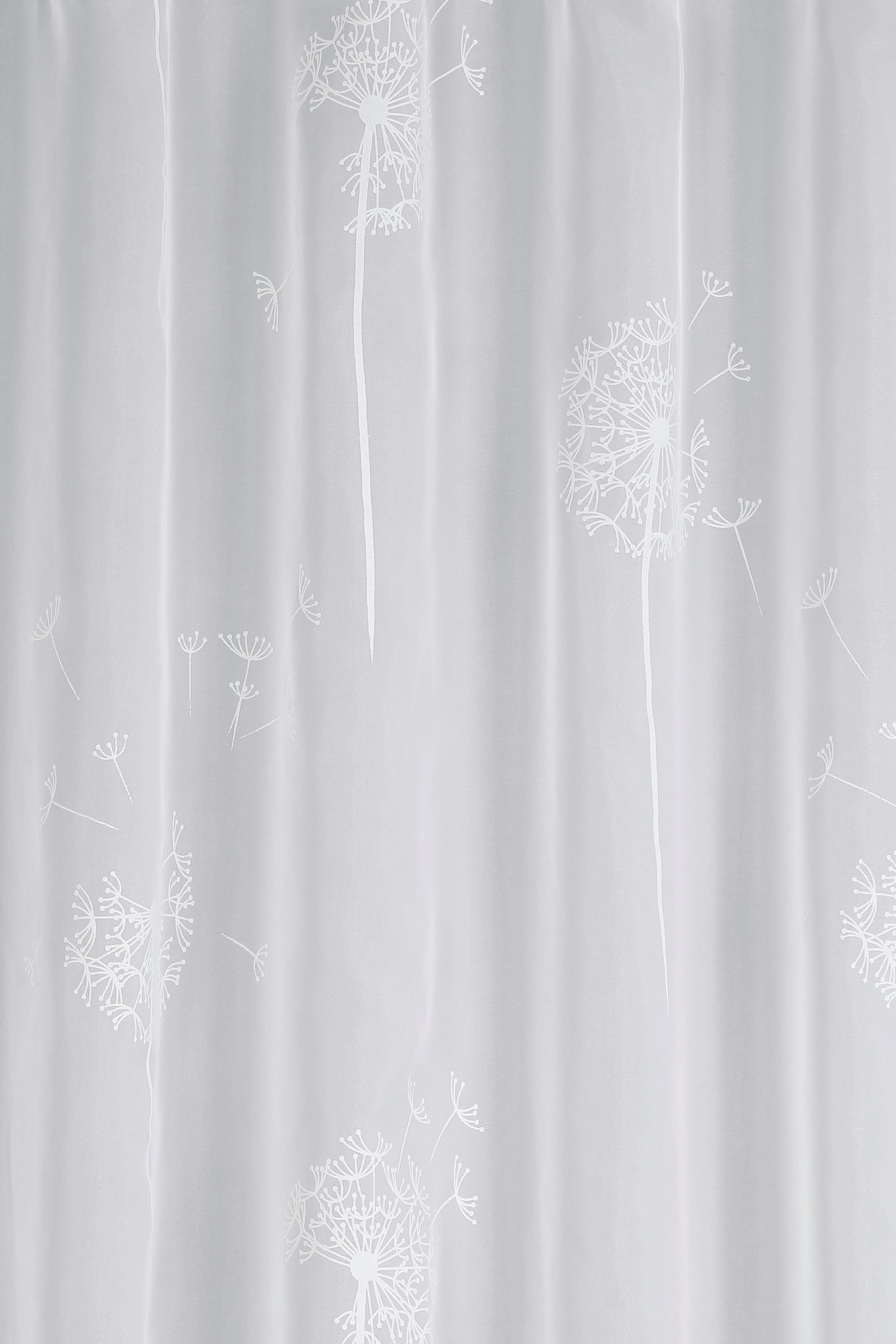 GARDINIA Vorhang Voile-Flock (1 St), Schlaufen, transparent, Stoff Voile-Flock