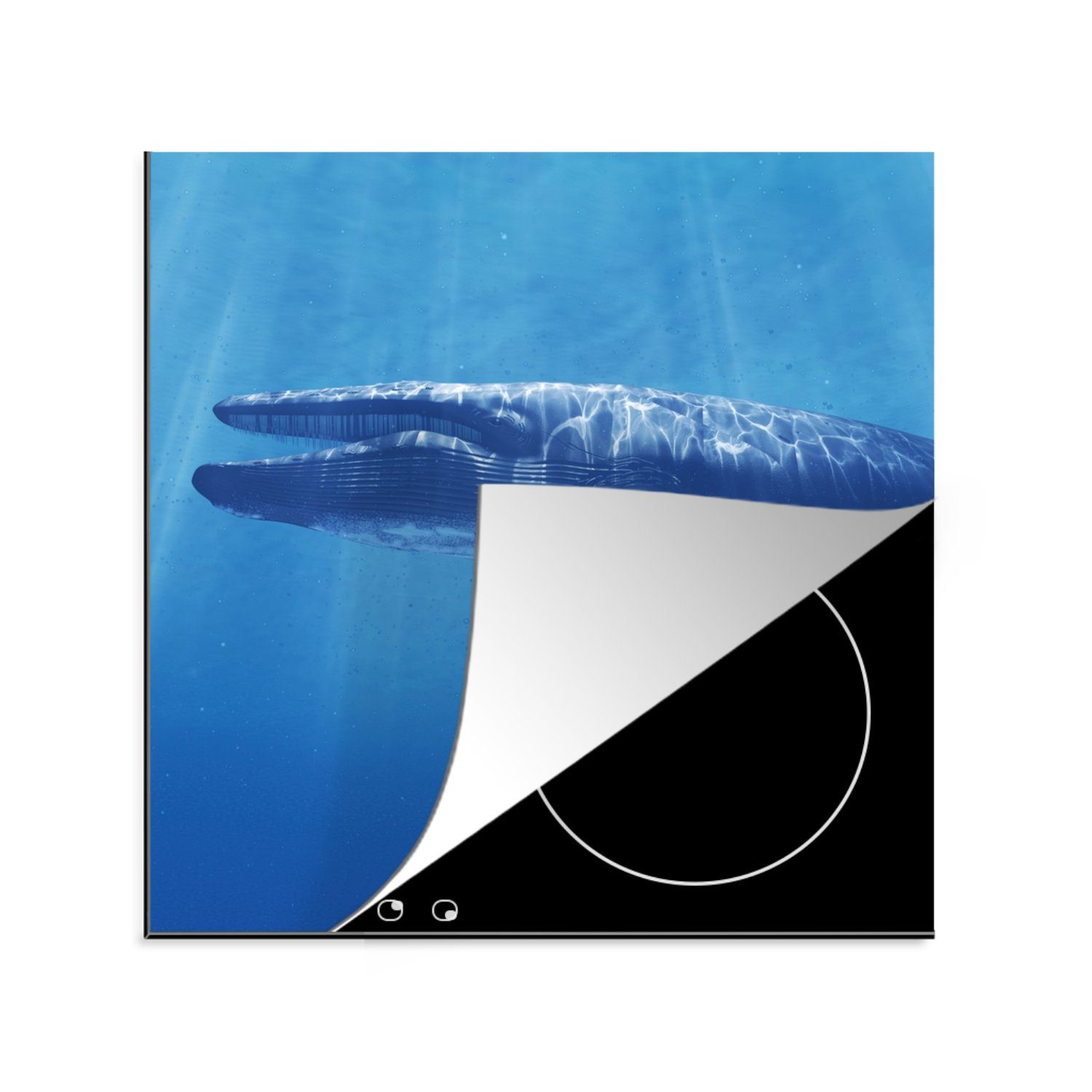 MuchoWow Herdblende-/Abdeckplatte Flossenfisch - Blau - Wasser, Vinyl, (1 tlg), 78x78 cm, Ceranfeldabdeckung, Arbeitsplatte für küche