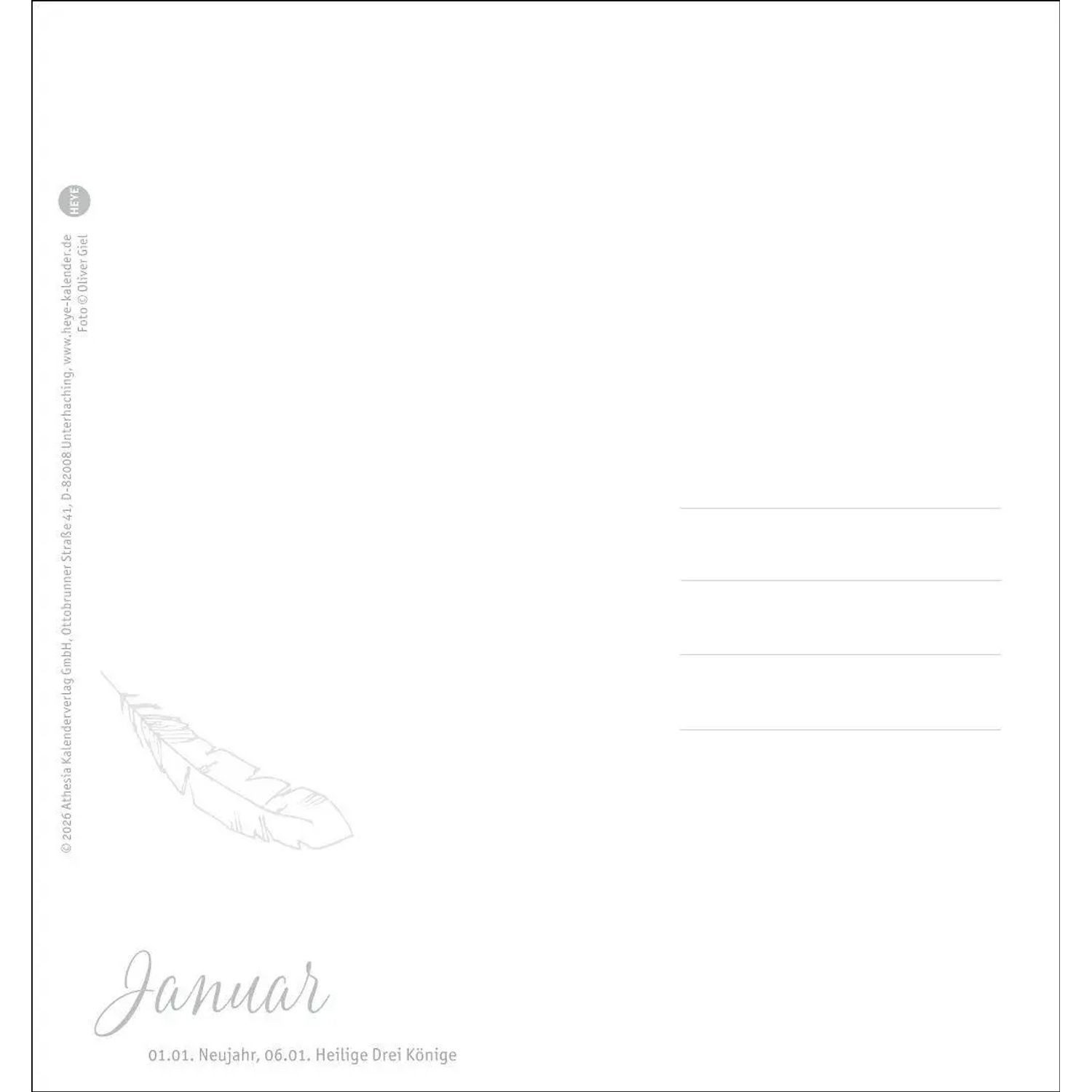 HEYE Wandkalender Freche Wellensittiche Postkartenkalender 2027 – Bild 2 von 5
