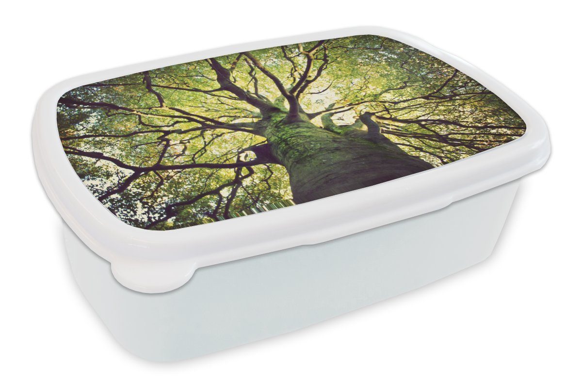 MuchoWow Lunchbox Beruhigende Zweige eines grünen Baumes, Kunststoff, (2-tlg), Brotbox für Kinder und Erwachsene, Brotdose, für Jungs und Mädchen weiß