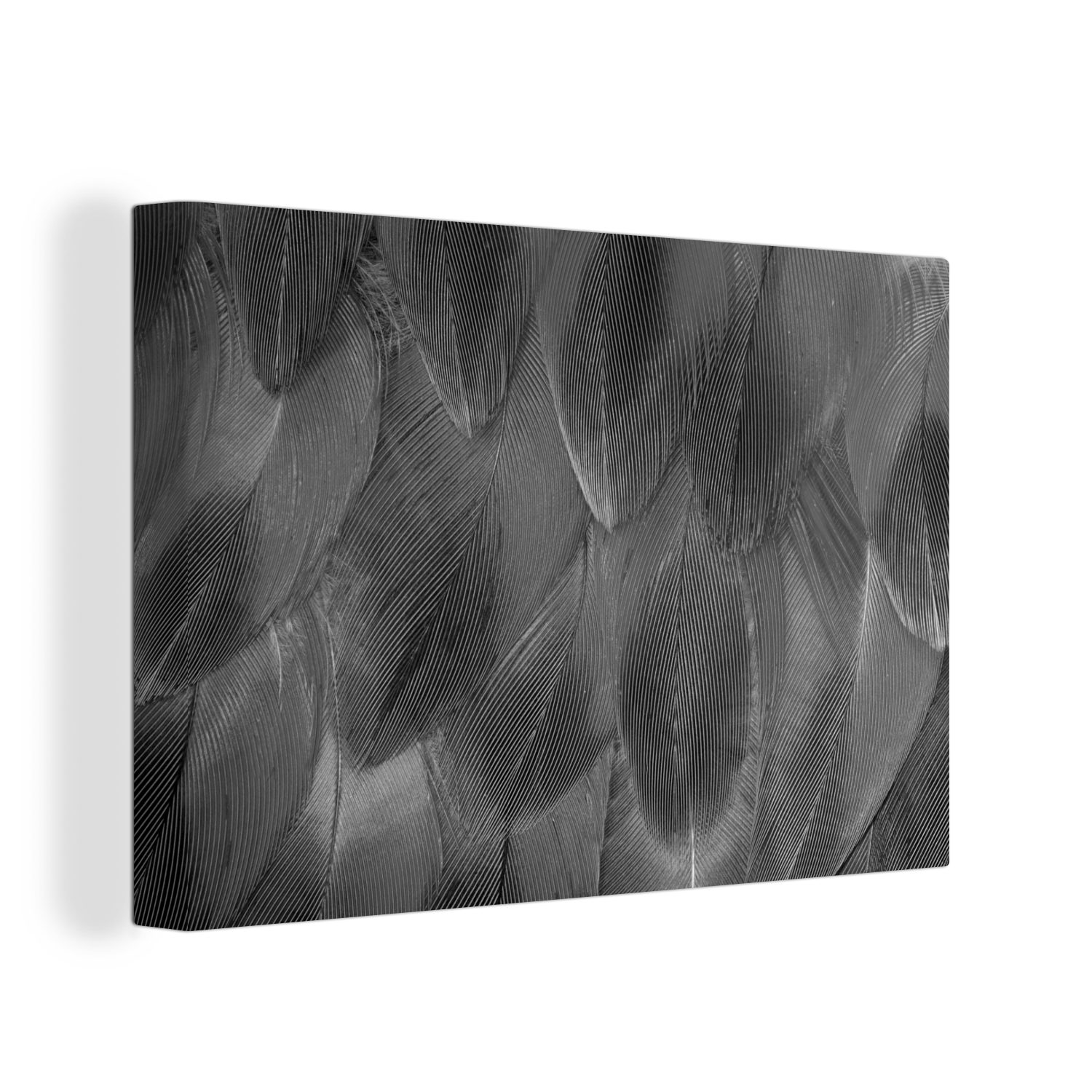 OneMillionCanvasses® Leinwandbild Struktur der Federn - günstig online kaufen