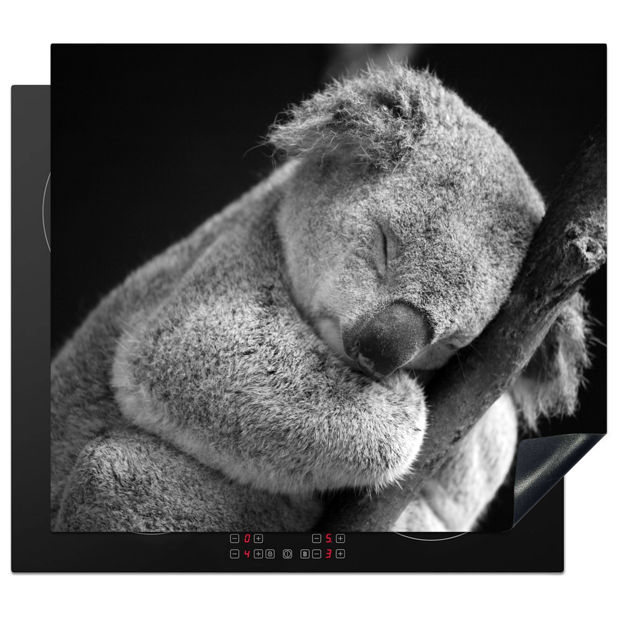 MuchoWow Herdblende-/Abdeckplatte Schlafender Koala auf schwarzem Hintergrund, Vinyl, (1 tlg), 60x52 cm, Mobile Arbeitsfläche nutzbar, Ceranfeldabdeckung