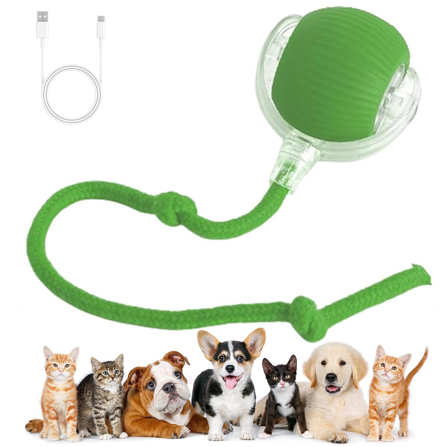 Tier-Intelligenzspielzeug Katzen- und Hundespielzeug, Interaktives Rolling Ball Spielzeug