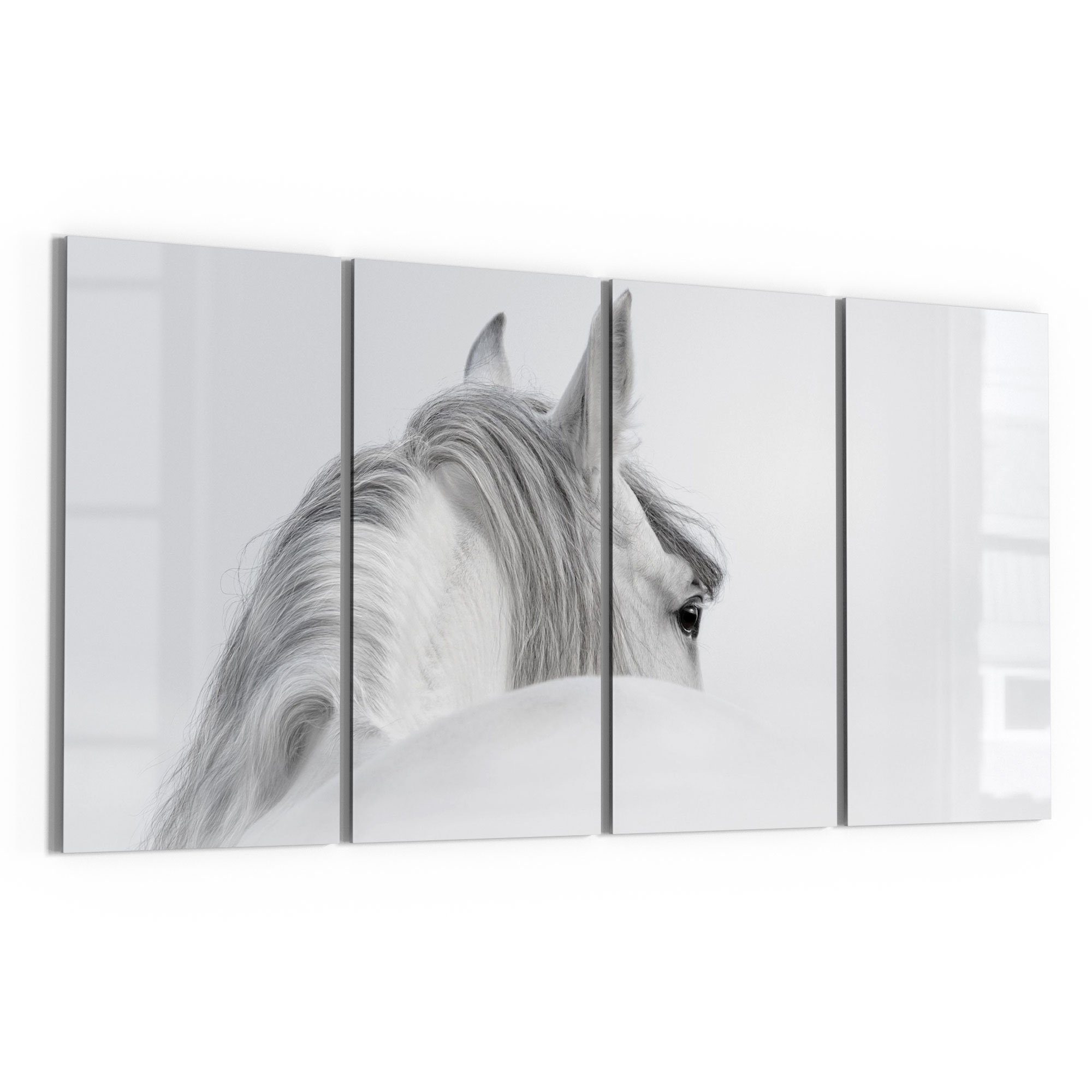 DEQORI Glasbild 'Andalusisches Pferd', 'Andalusisches Pferd', Glas Wandbild Bild schwebend modern