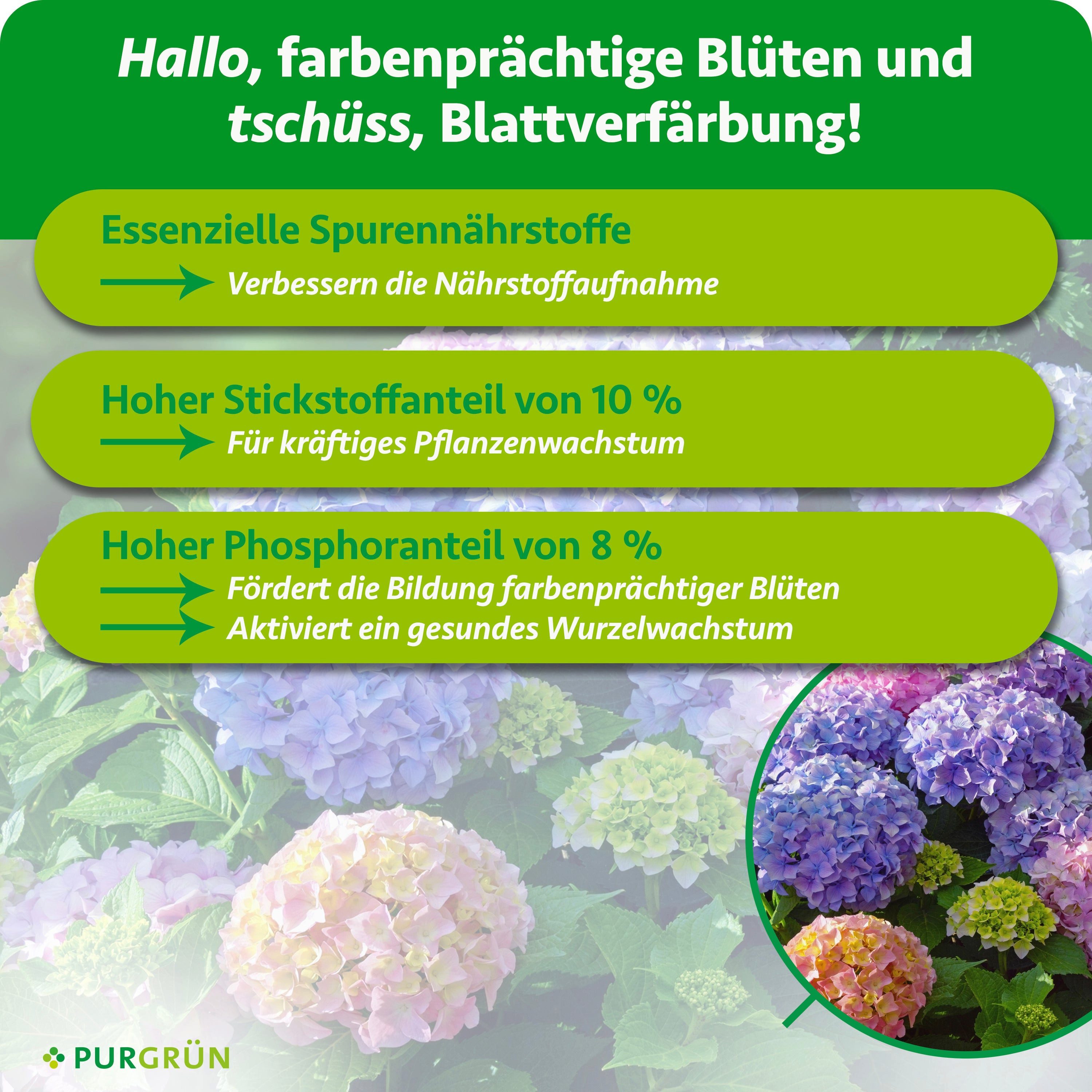 Purgrün Blumendünger Hortensiendünger, NPK 10+8+6, Spurennährstoffe, 1 Liter, Flüssigdünger, 1-St., 1 Liter