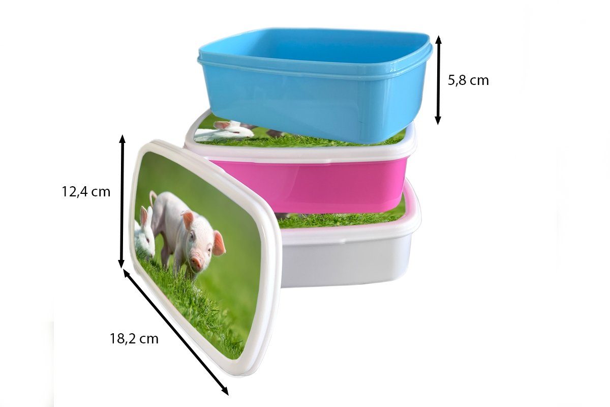 Brotbox Jungs Tiere, - MuchoWow Mädchen (2-tlg), Lunchbox weiß Erwachsene, Kaninchen für Brotdose, Ferkel Kinder und für - Kunststoff, und