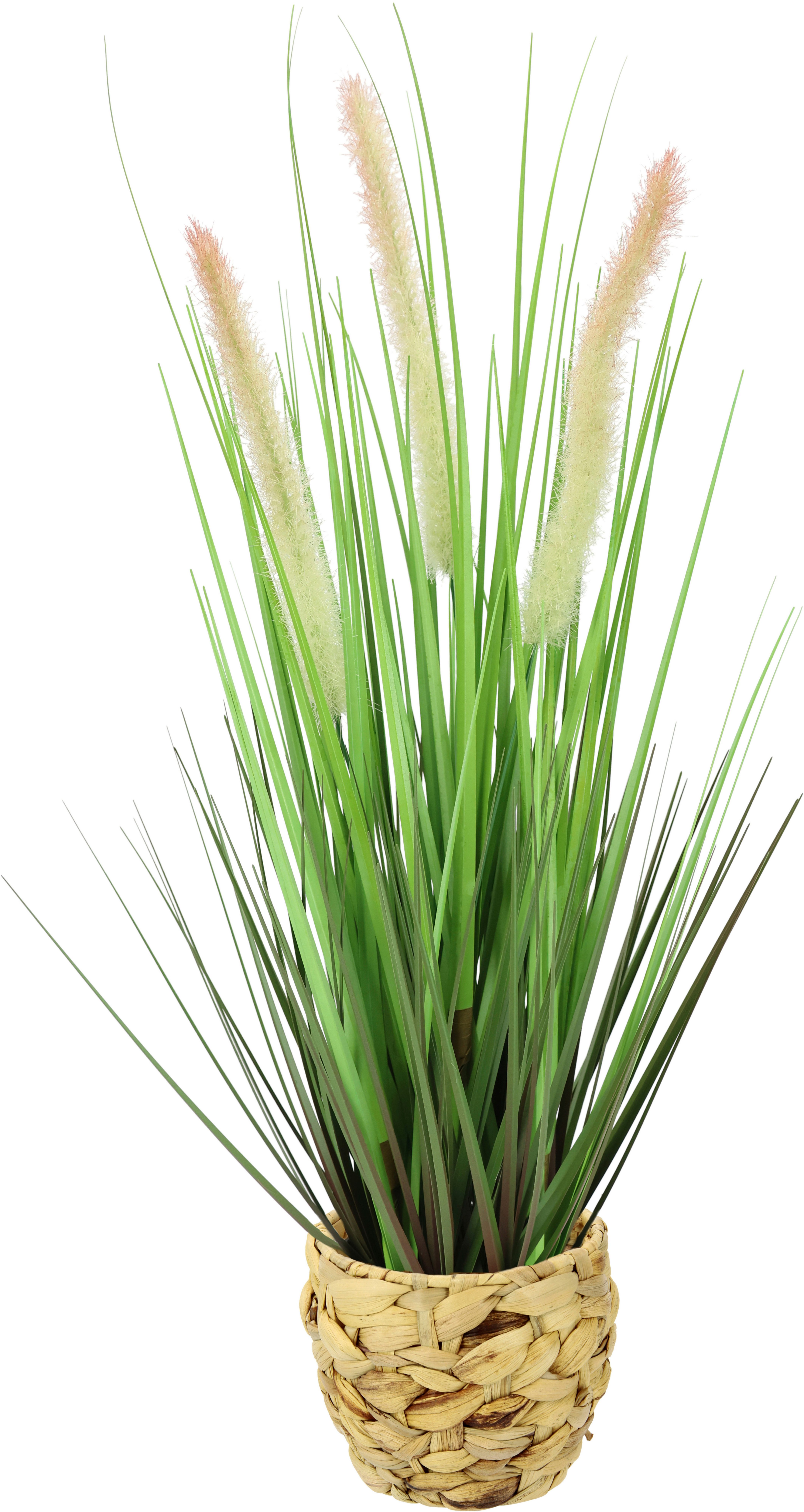 Kunstpflanze Gras Fuchsschwanzgras, I.GE.A., Höhe 52 cm. Reduzierter Preis € 21,16. Unverbindliche Preisempfehlung € 29,99