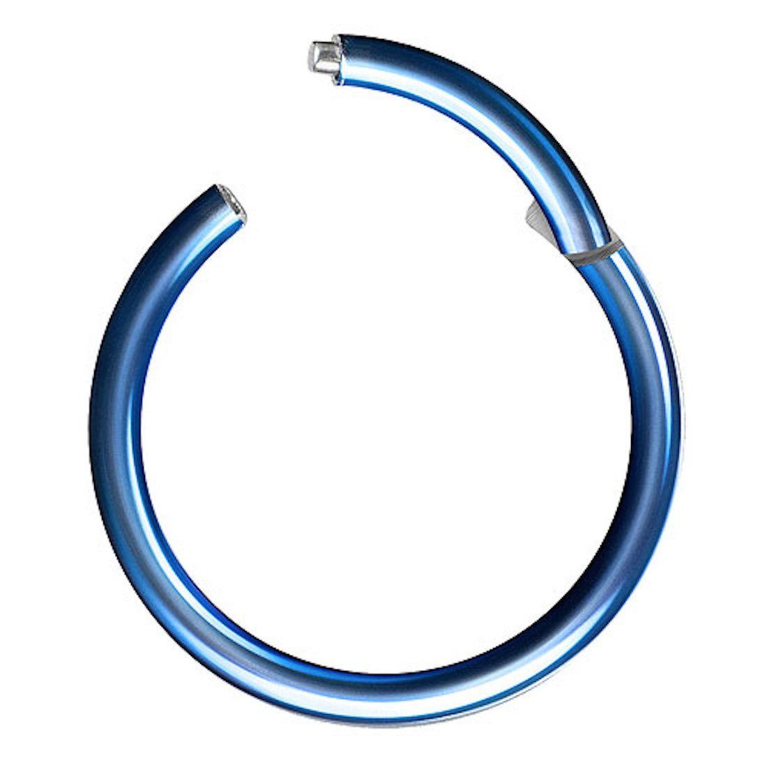 Taffstyle Nasenpiercing Clicker Ohr Universal Piercing Titan G23 oder Chirurgenstahl (Vielseitiger Segmentring aus Titan oder Chirurgenstahl in vielen Farben und Größen), Scharnier Klicker für Septum Ohr Nase Lippe