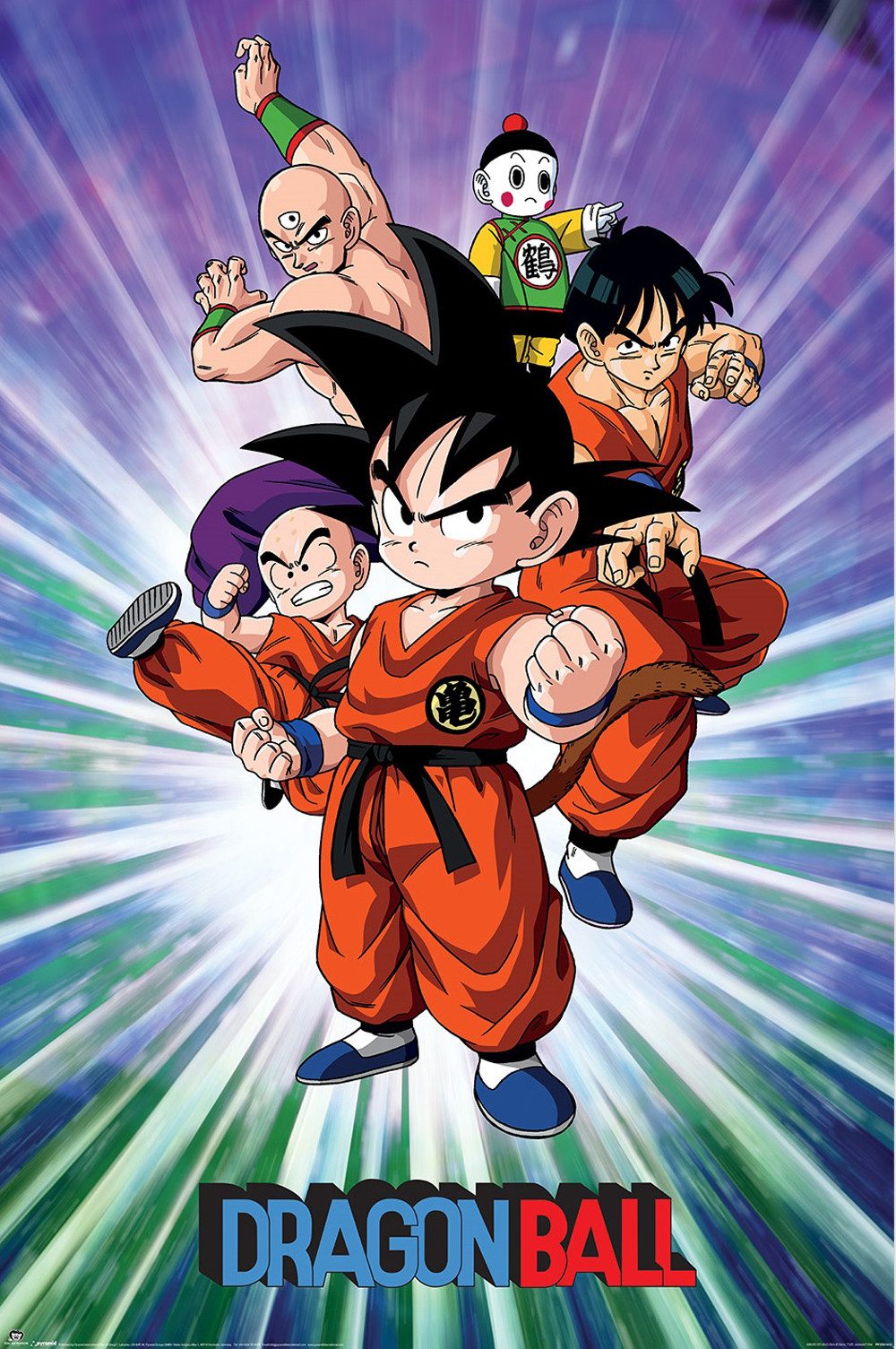 Poster Dragon Ball - Group - Poster 61x91,5 cm