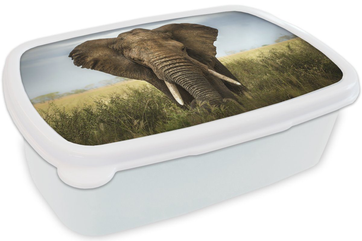 MuchoWow Lunchbox Elefant Tiere Natur für - Erwachsene, - Brotdose, Landschaft, weiß für und Kinder Kunststoff, - - Gras (2-tlg), Mädchen Jungs und Brotbox