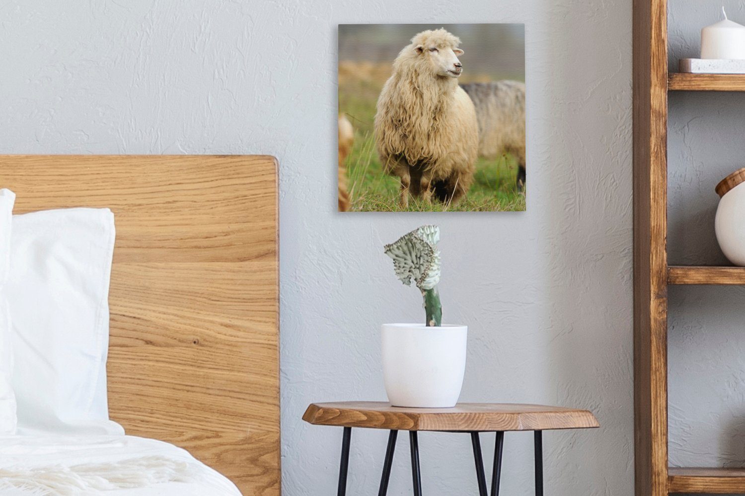 (1 Schlafzimmer Gras, St), OneMillionCanvasses® Leinwandbild Leinwand - für - Wohnzimmer Schafe Bilder Wolle