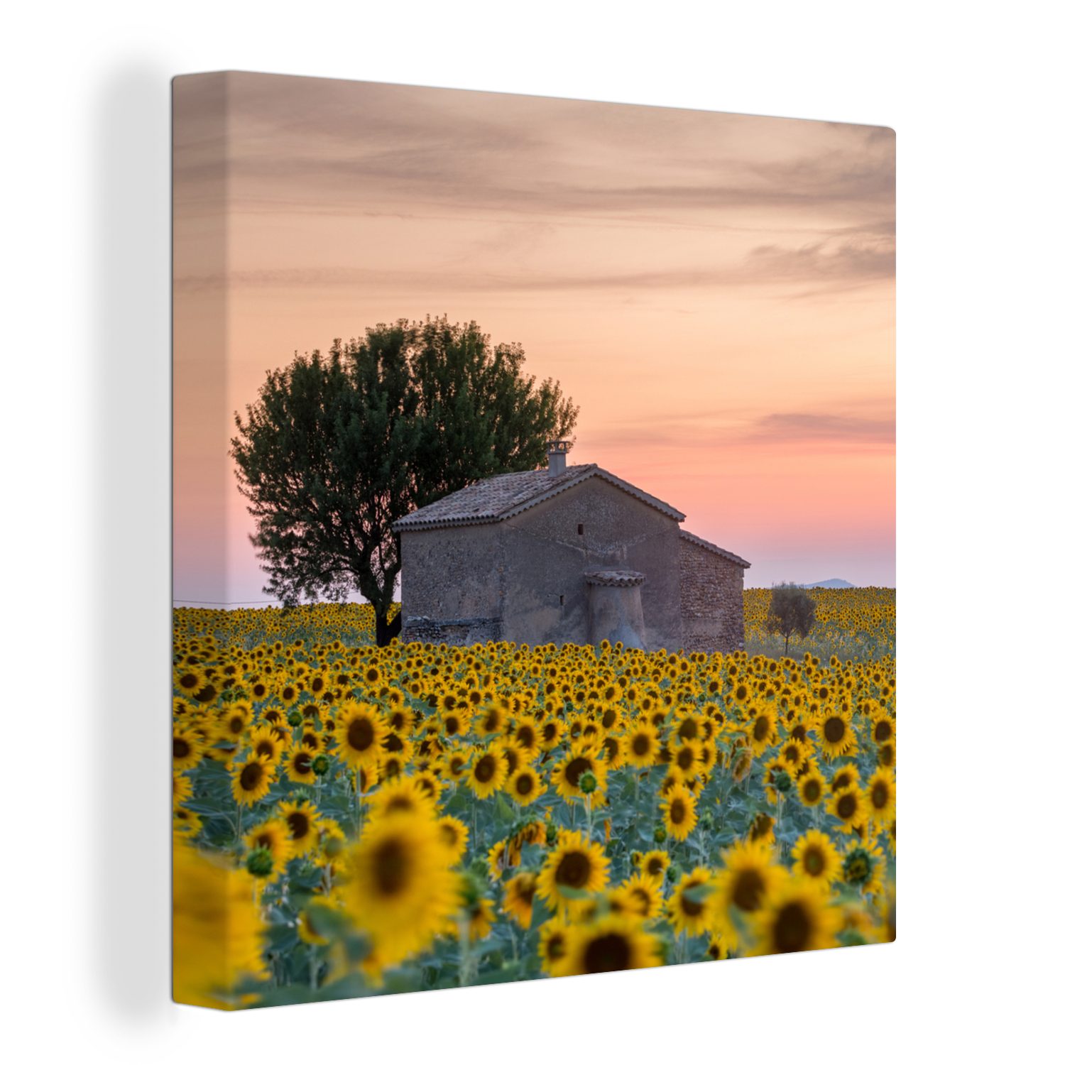 Bilder Scheune, Wohnzimmer Schlafzimmer OneMillionCanvasses® für St), Frankreich Leinwand - Leinwandbild (1 - Sonnenblume