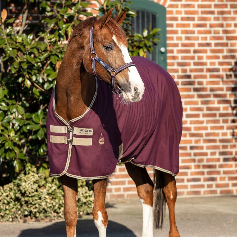 Horseware Pferde-Stalldecke Horseware Amigo Stable Sheet 0g - Fig/Navy