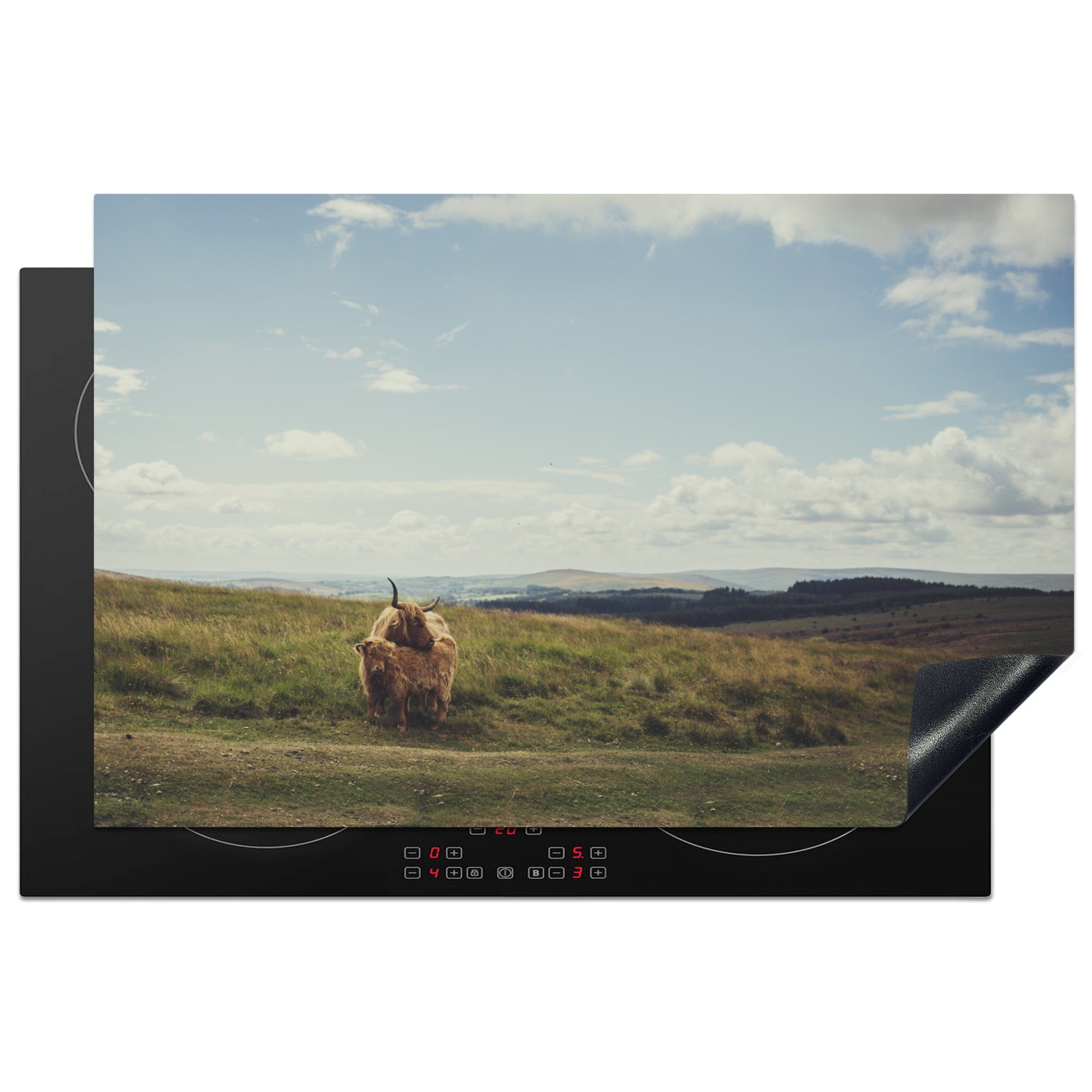 MuchoWow Herdblende-/Abdeckplatte Schottische Highlander - Gras - Wolken - Tiere, Vinyl, (1 tlg), 81x52 cm, Induktionskochfeld Schutz für die küche, Ceranfeldabdeckung