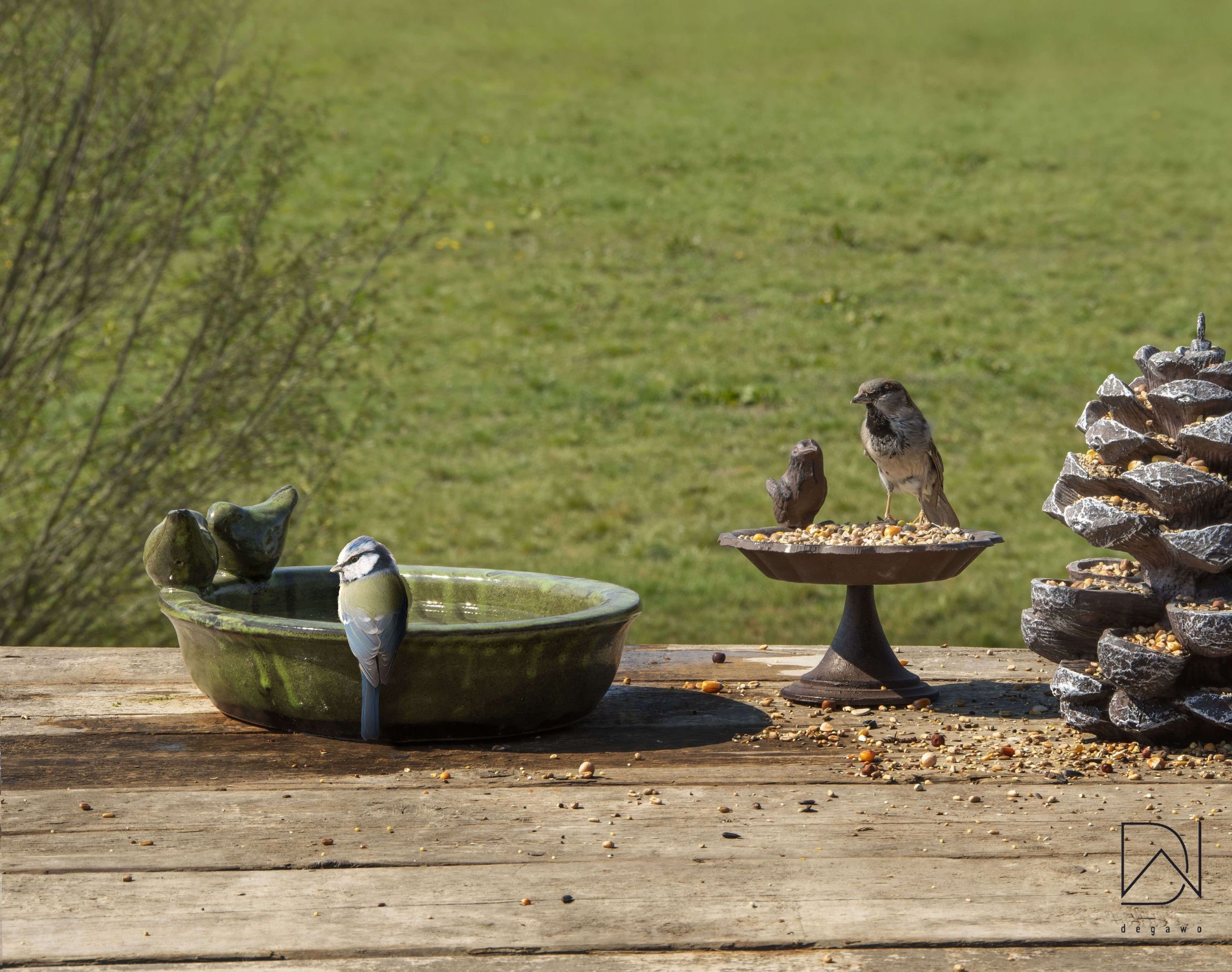 Dekowunder Vogeltränke Wasserstelle Vogelbad Vogelbecken oval günstig online kaufen