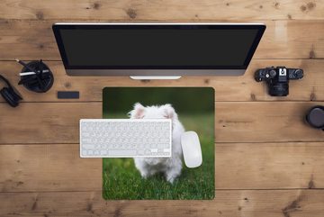 MuchoWow Gaming Mauspad Malteser Hund auf einer Wiese (1-St), Mousepad mit Rutschfester Unterseite, Gaming, 40x40 cm, XXL, Großes
