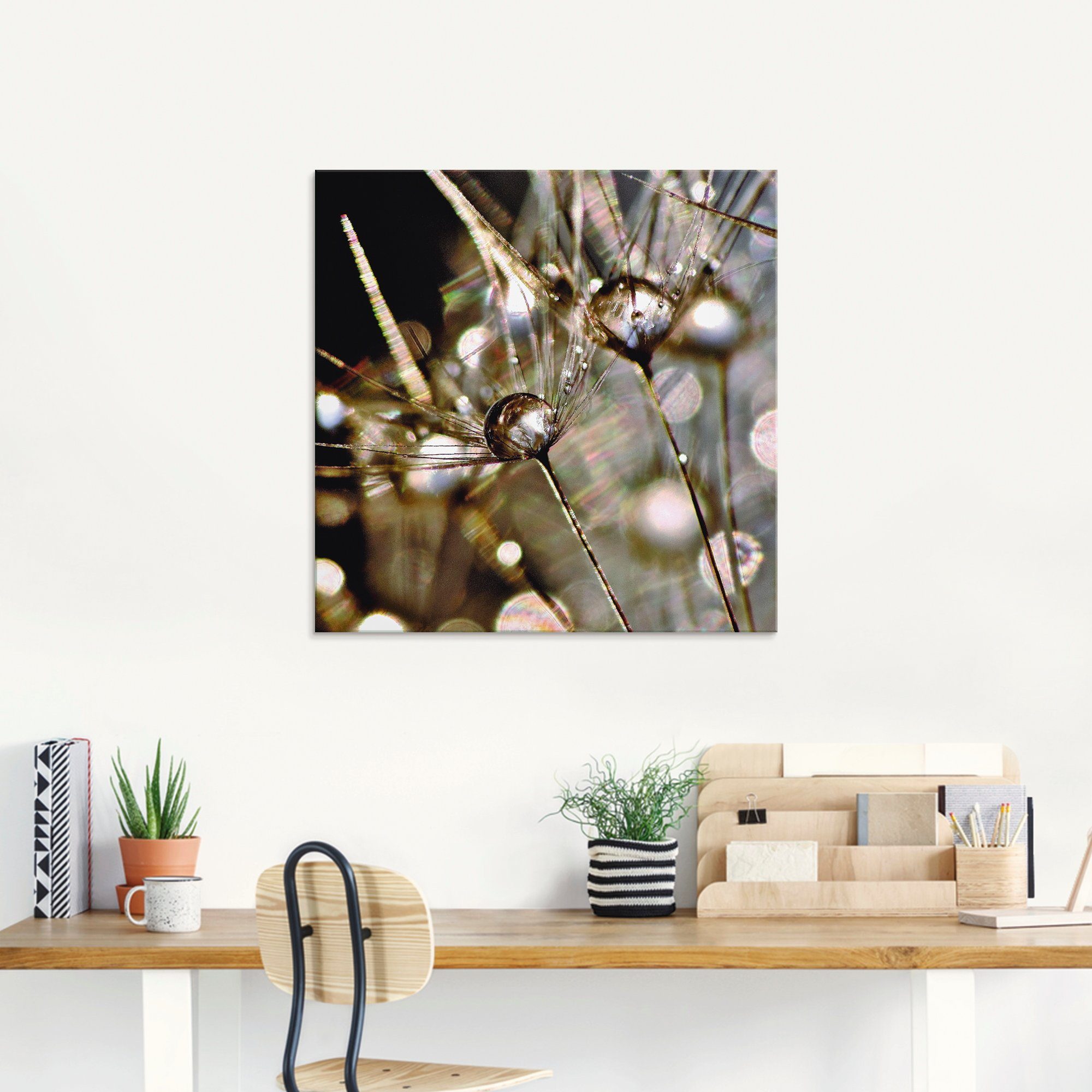 Artland Glasbild Pusteblume mit Wasserperlen, Blumen (1 St), in verschiedenen Größen