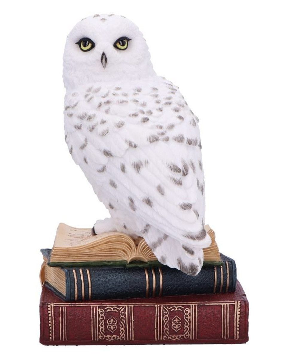 Horror-Shop Dekofigur Eule auf Büchern Library of Wisdom Dekofigur 17cm