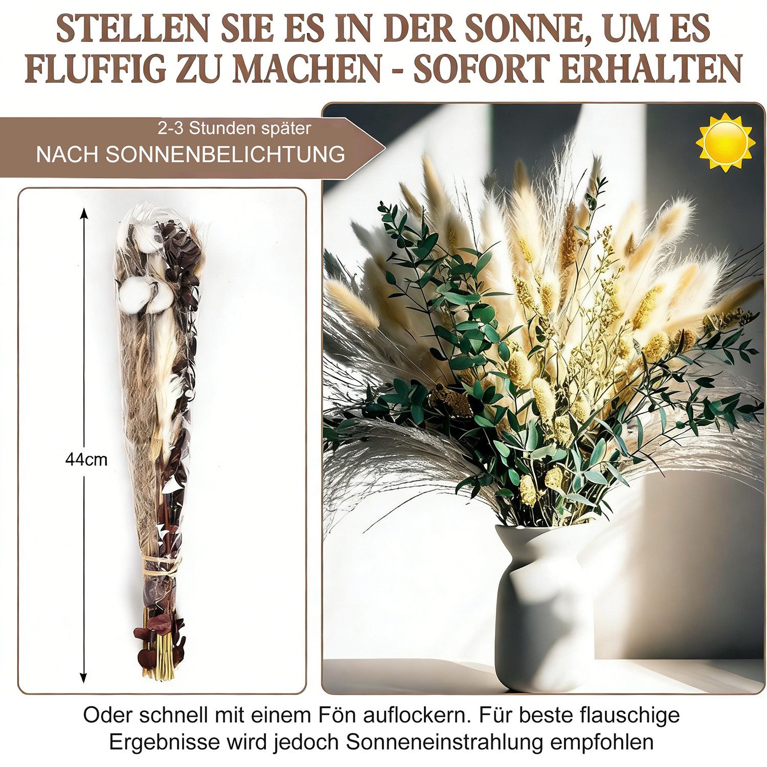 Trockenblume Natürliche Trockenblumen, Boho Deko, 75 Stück Pampasgras Getrocknet, wohnTRAUM24, Höhe 43 cm, Trockenblumen Set Pampasgras, Hasenschwanzgras für Hochzeit & Party