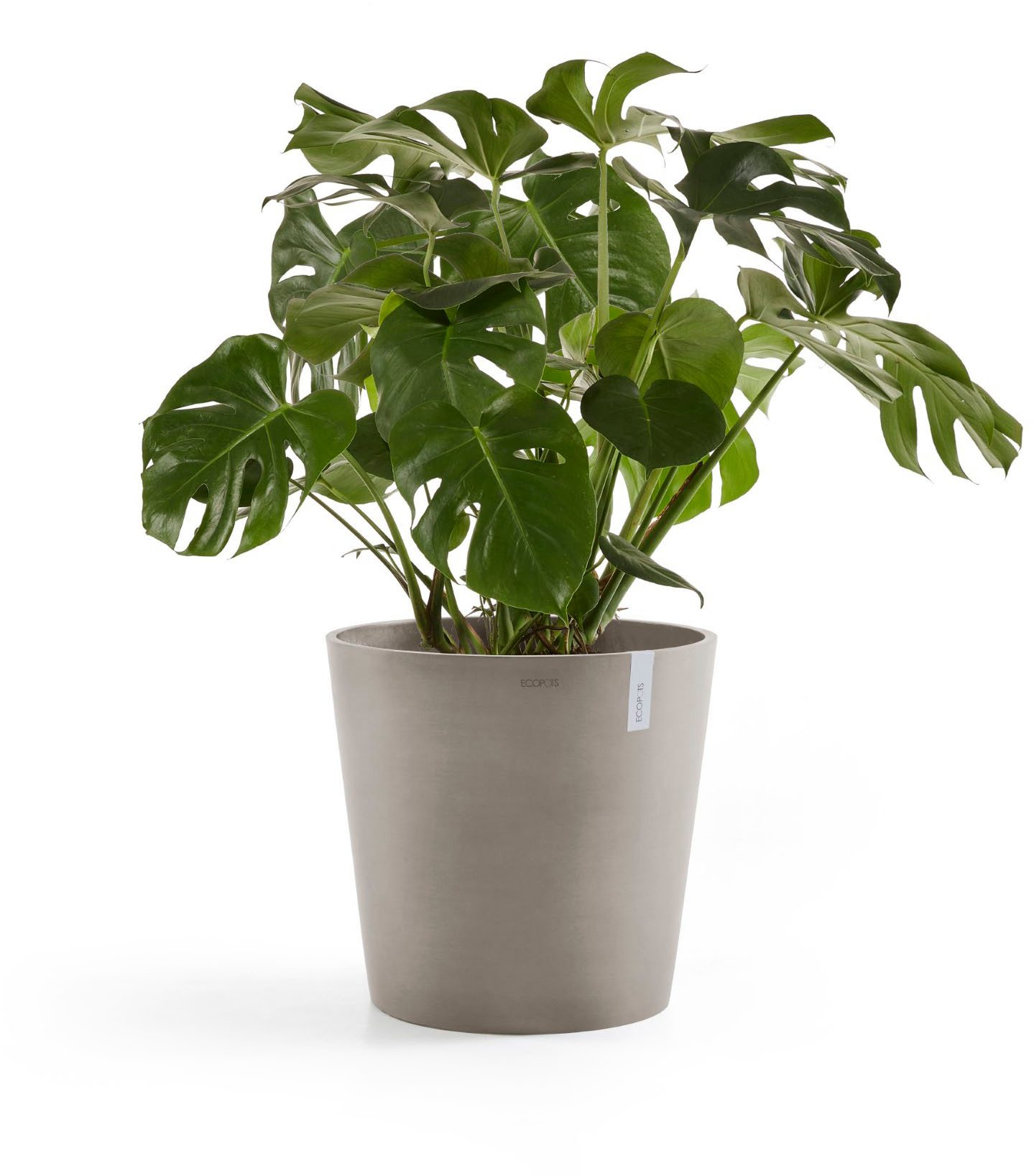 ECOPOTS Blumentopf Amsterdam, ØxH: 50x43,8 cm günstig online kaufen