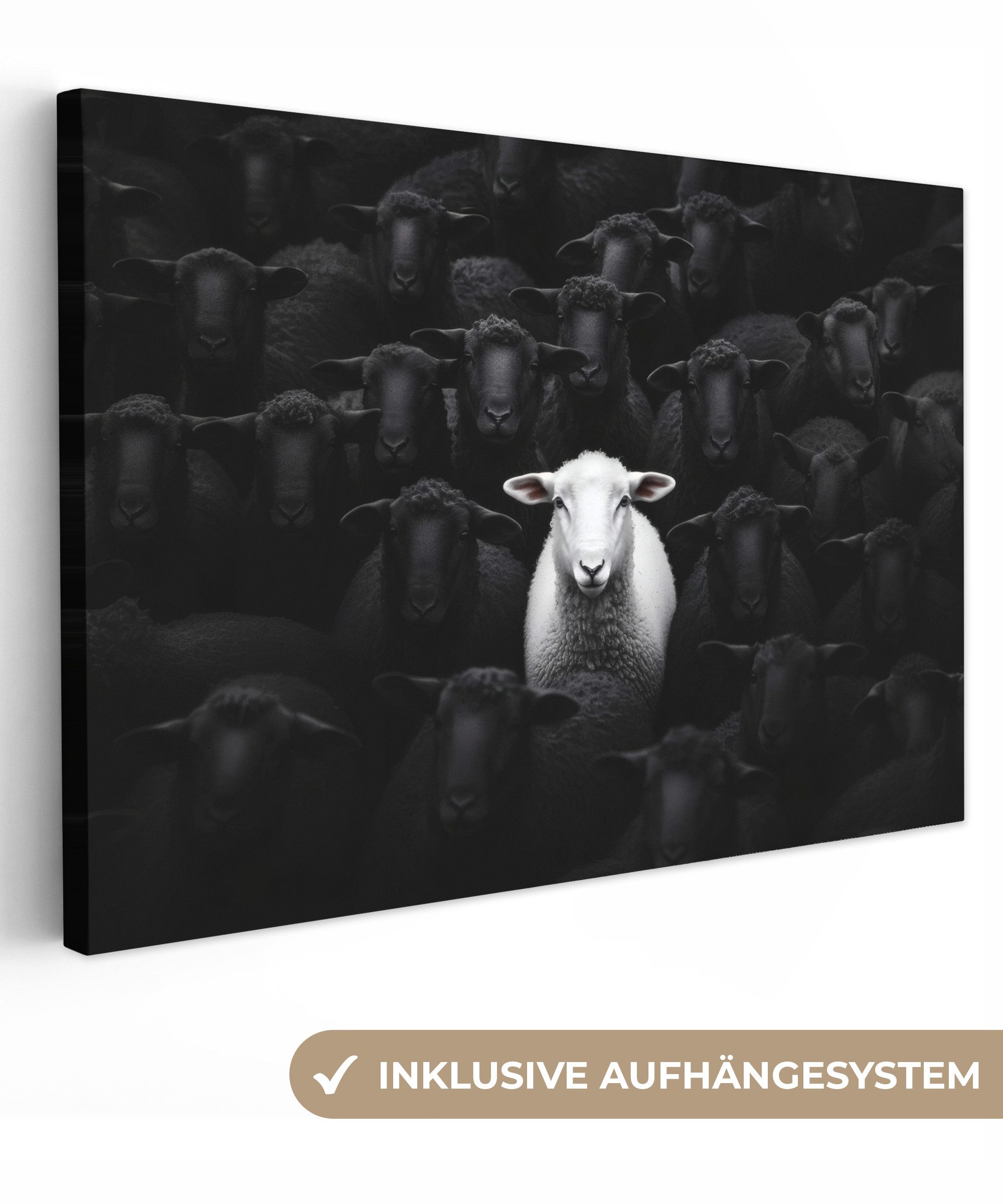 OneMillionCanvasses® Leinwandbild Schafe - Weiß - Dunkelheit, Fotodruck (1 günstig online kaufen