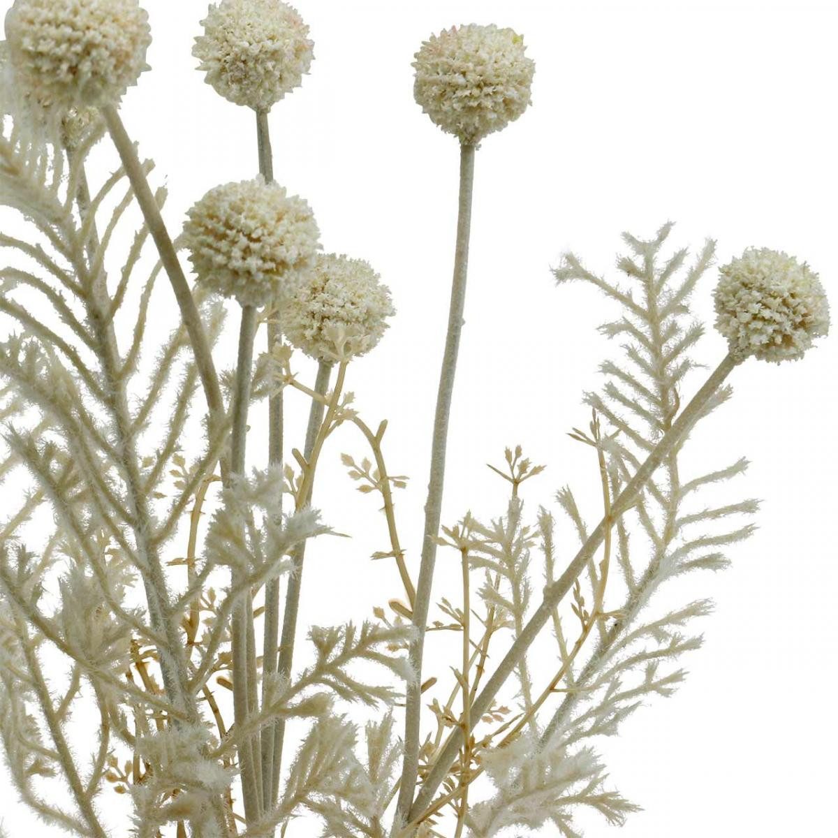 Kunstblume Trockengräser künstlich Pampasgras Allium Creme günstig online kaufen